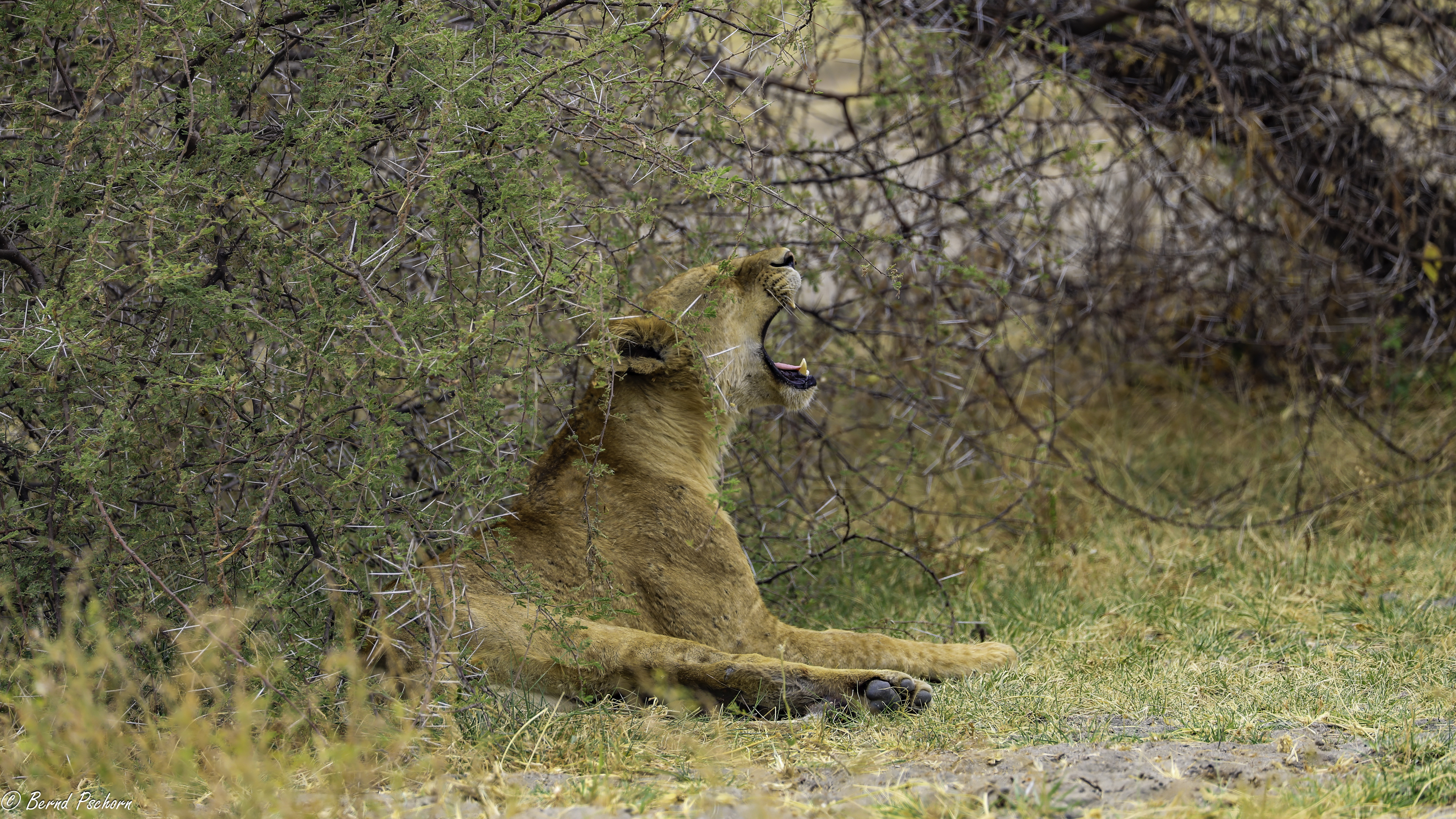 Lake Manyara