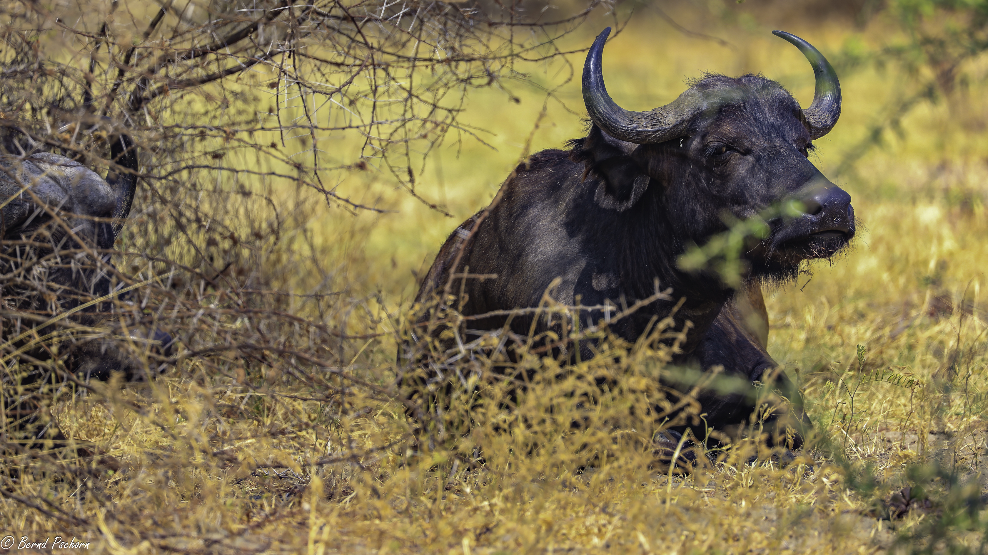 Lake Manyara
