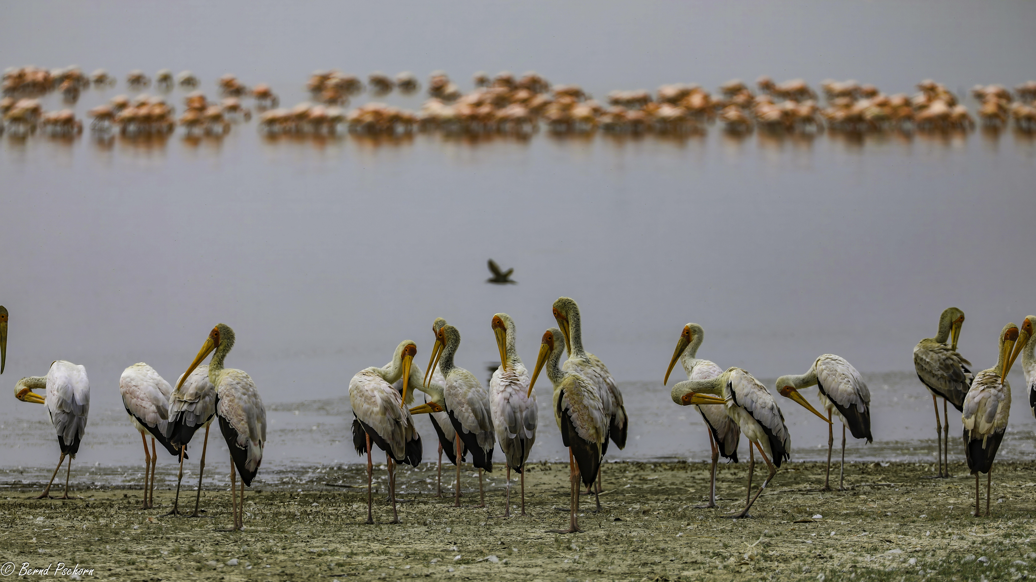 Lake Manyara