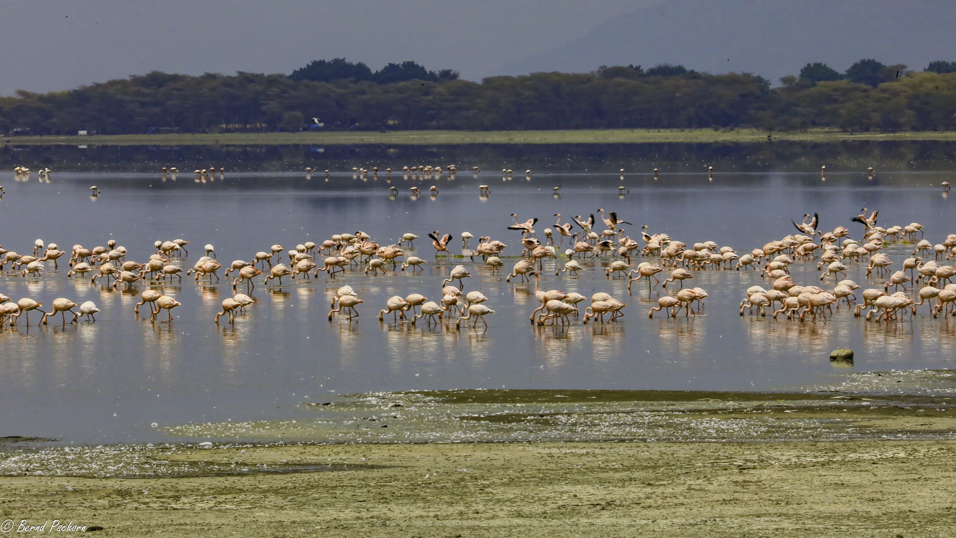 Lake Manyara