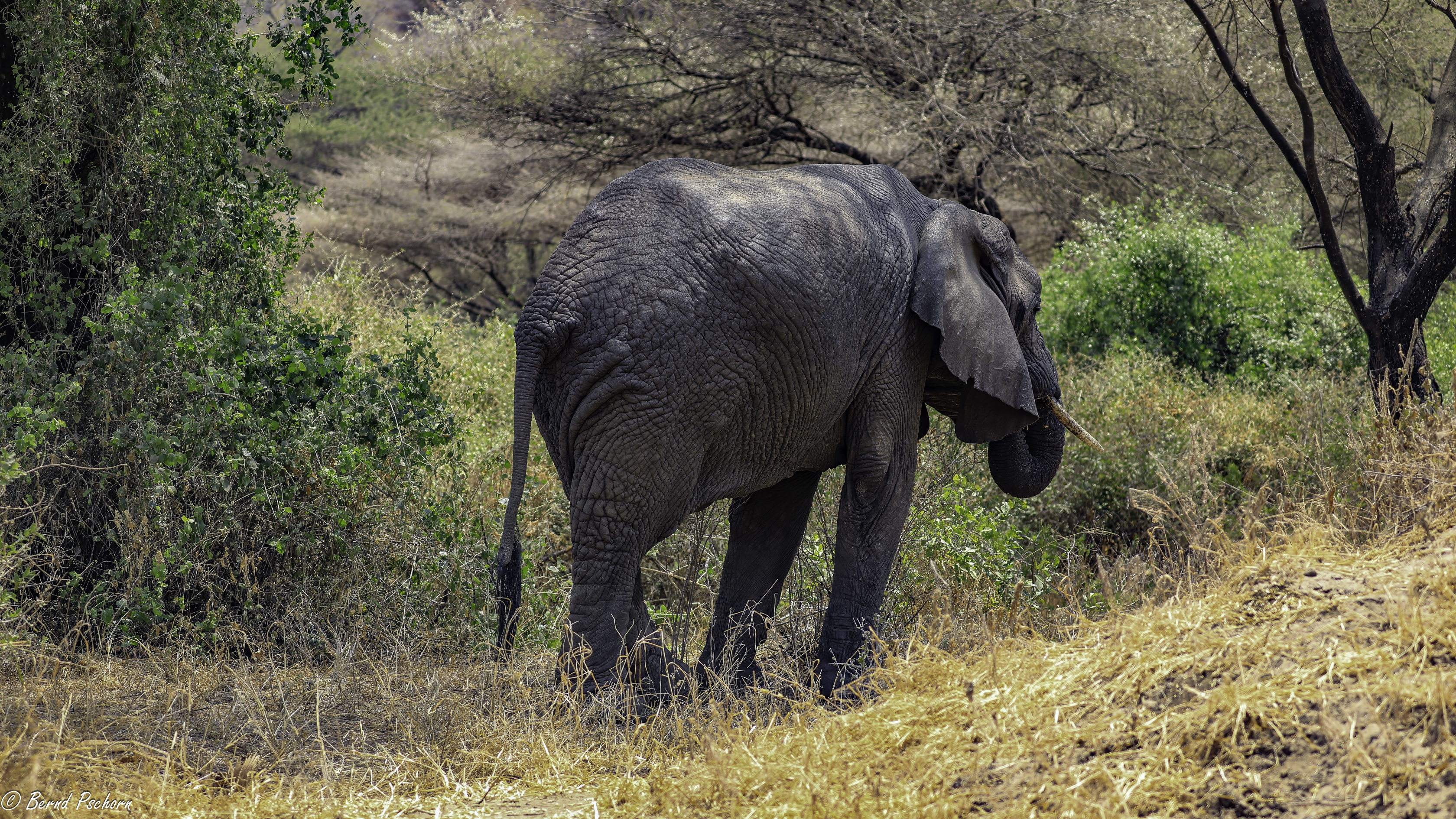 Lake Manyara