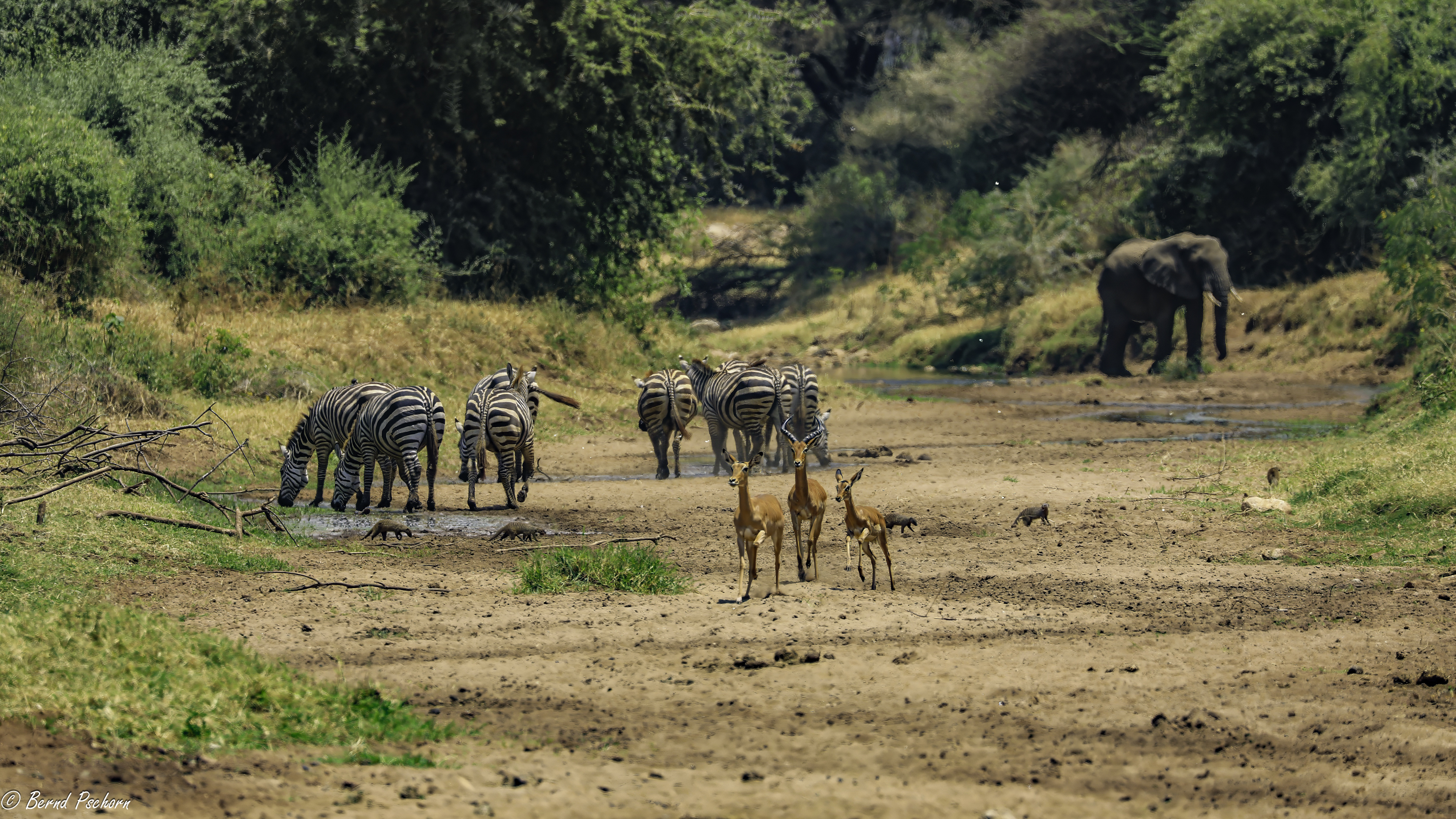 Lake Manyara