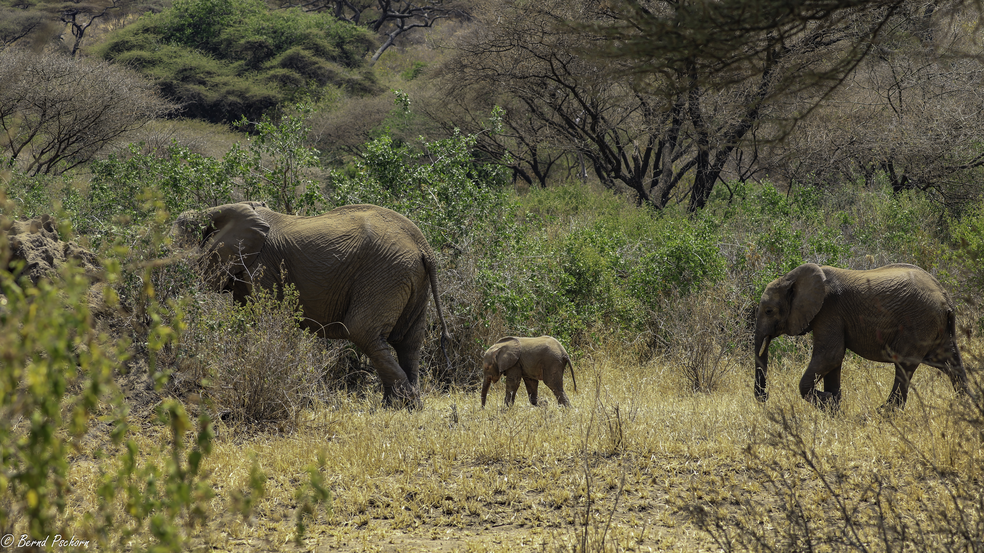 Lake Manyara