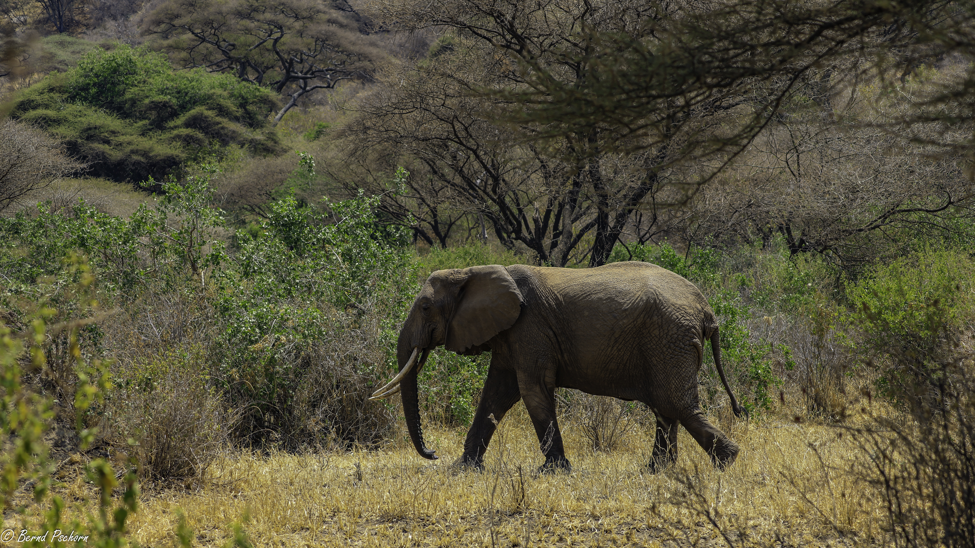 Lake Manyara
