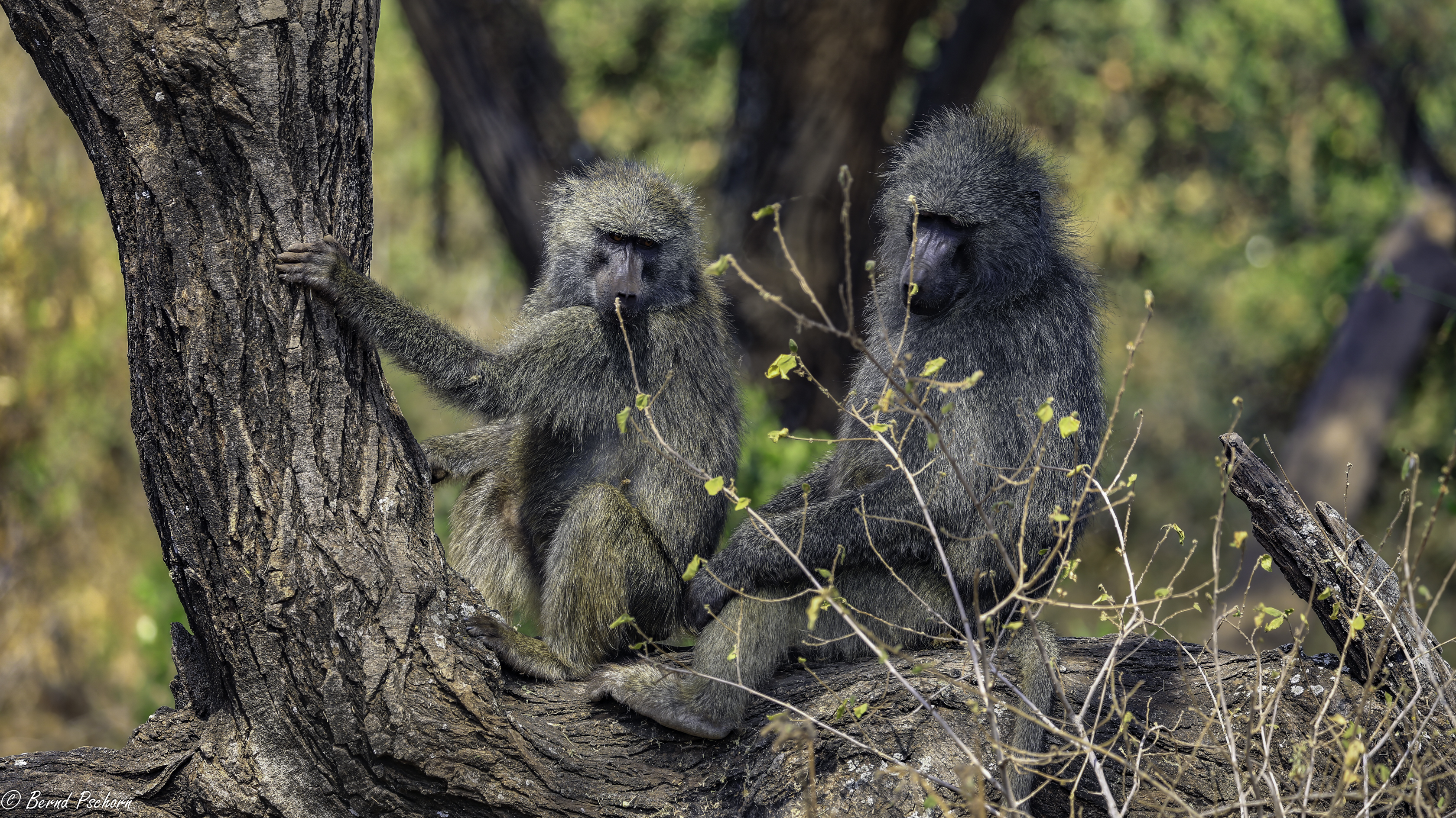 Lake Manyara