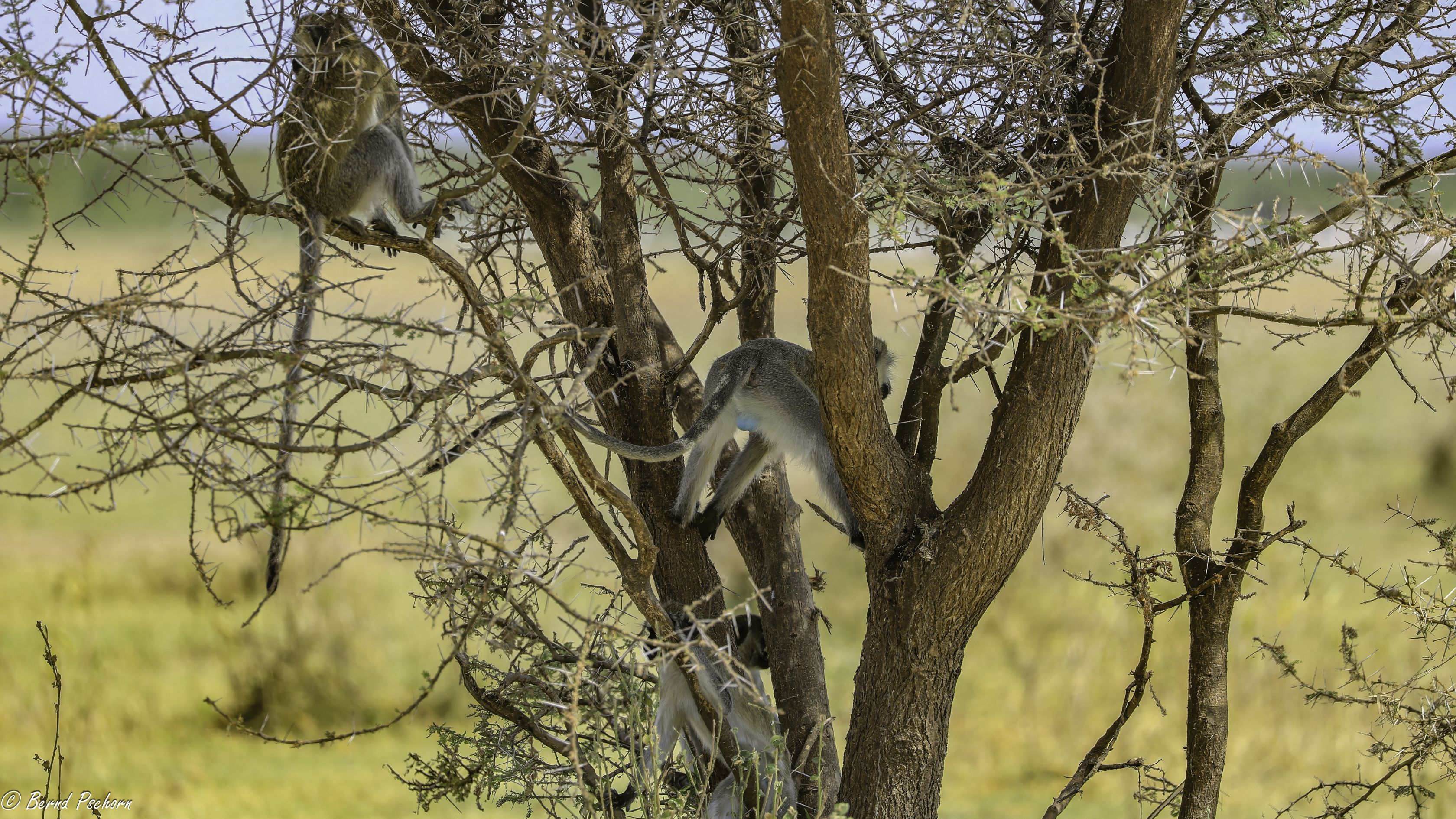 Lake Manyara