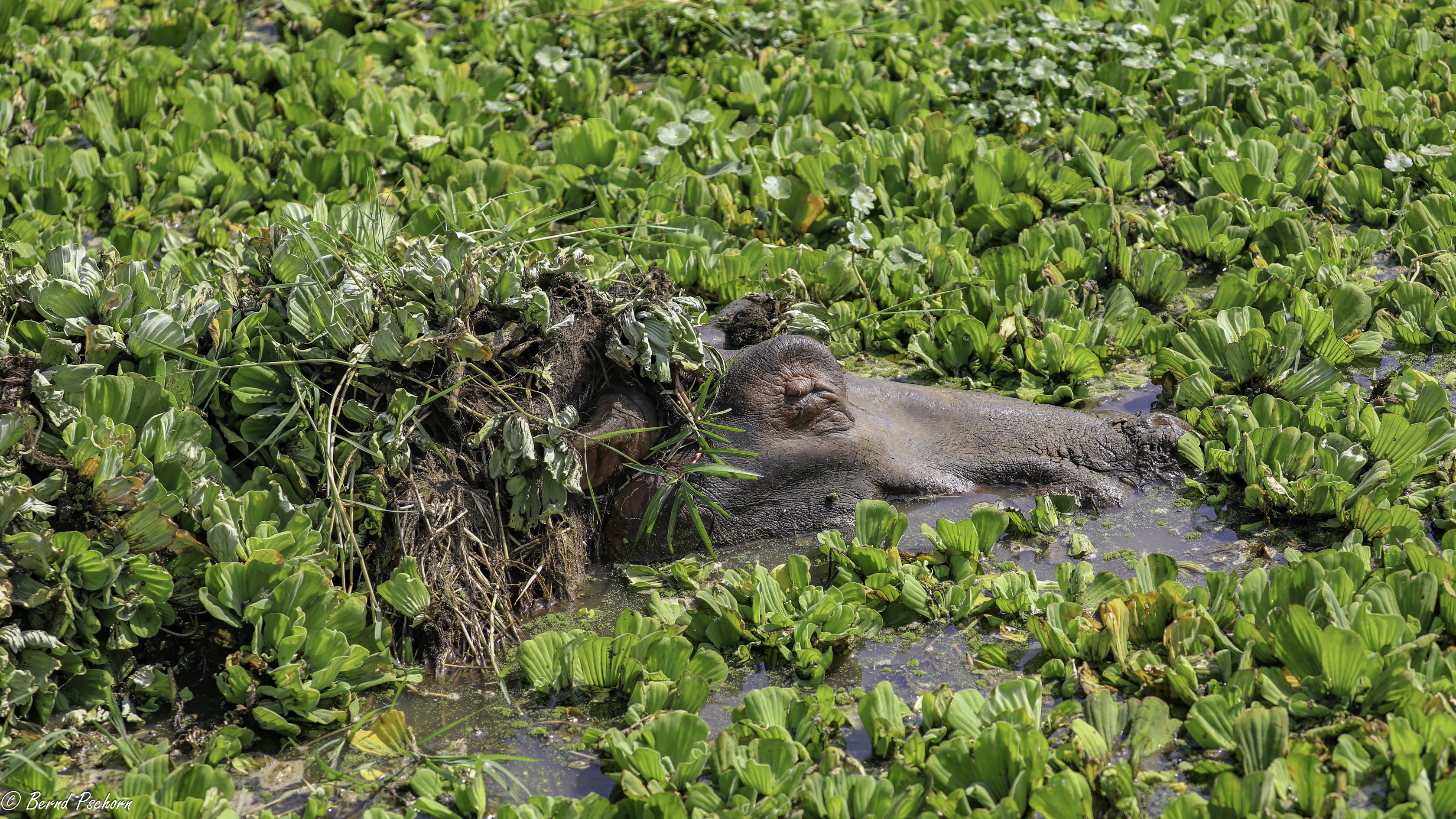 Lake Manyara