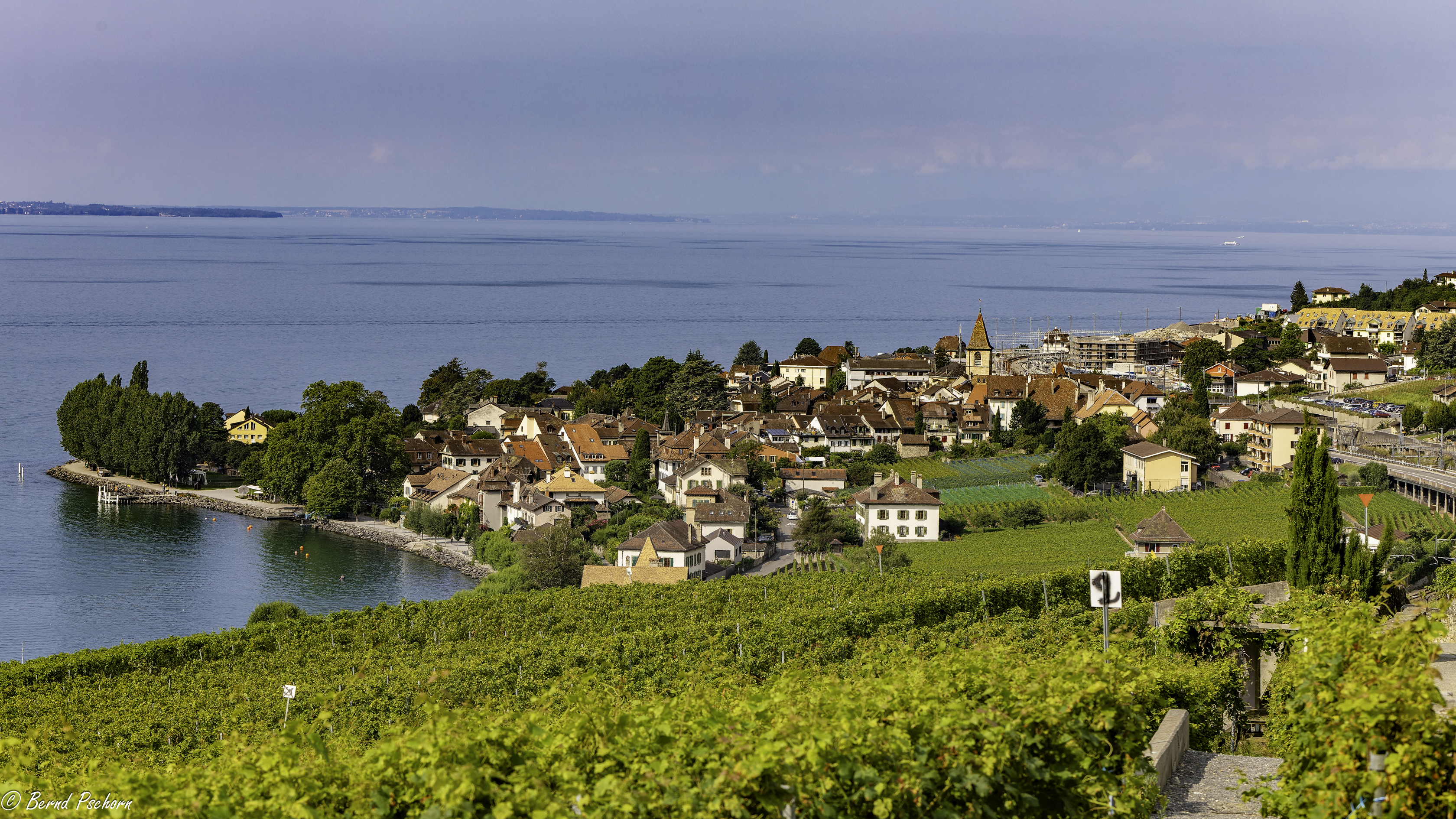 Lavaux