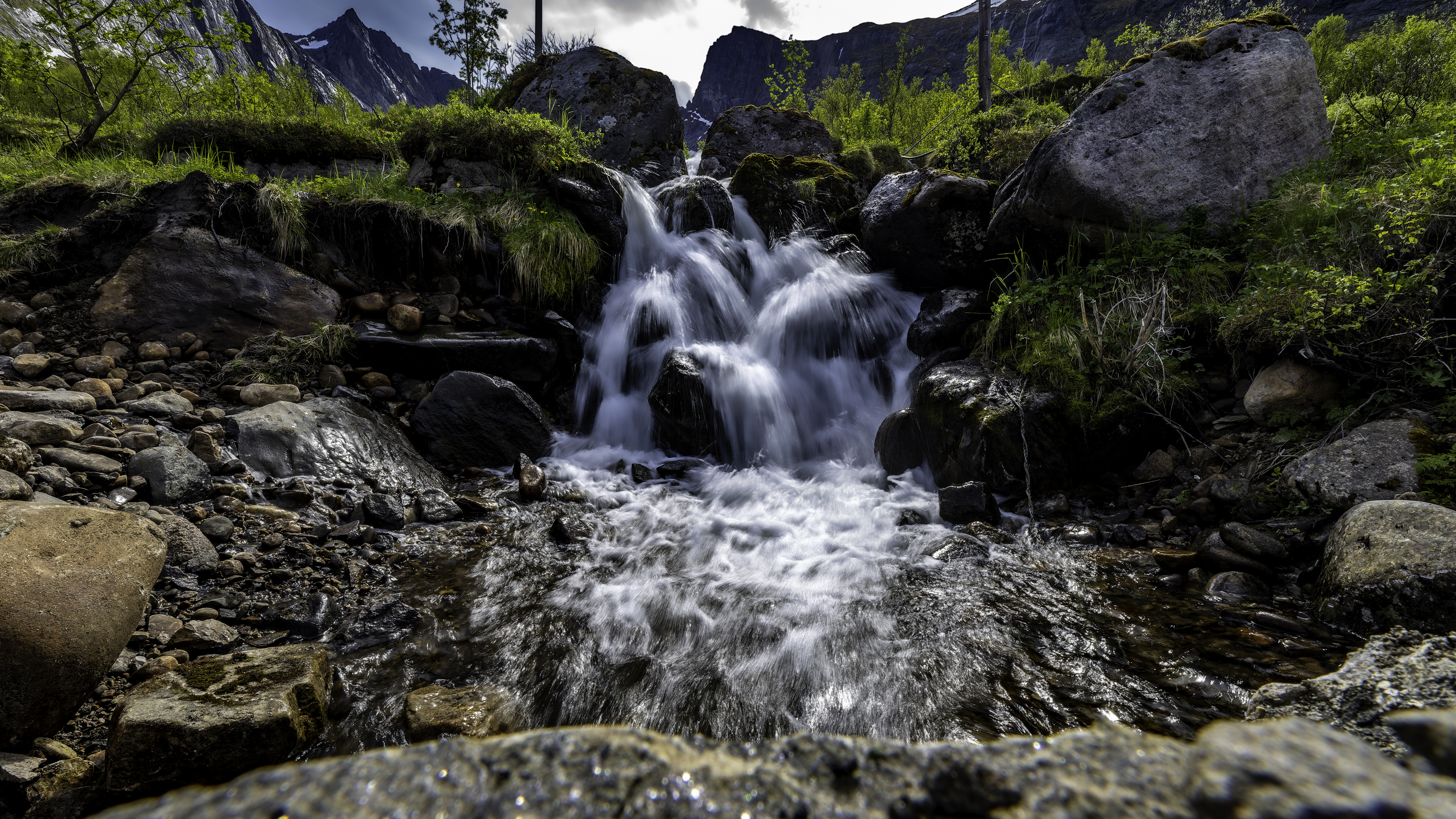 Senja