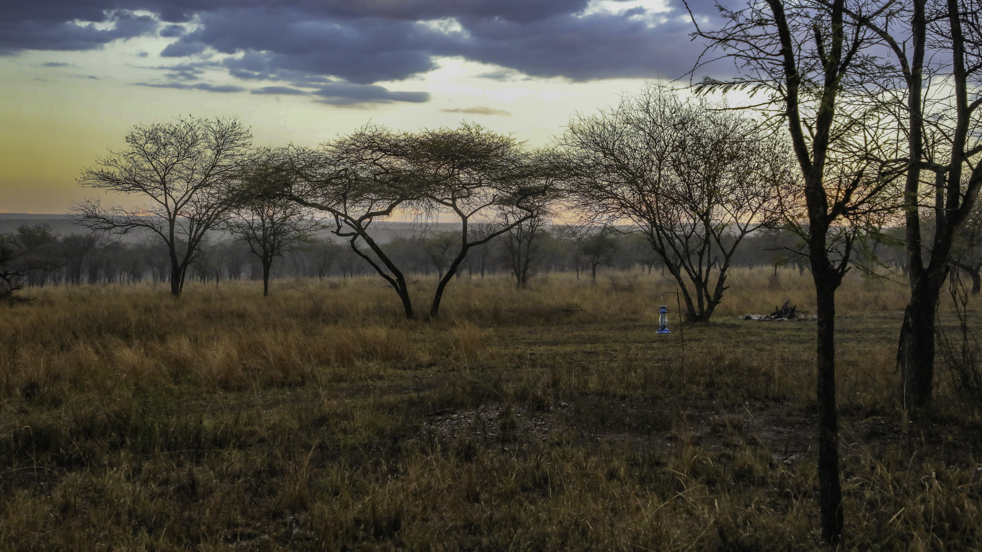 Serengeti