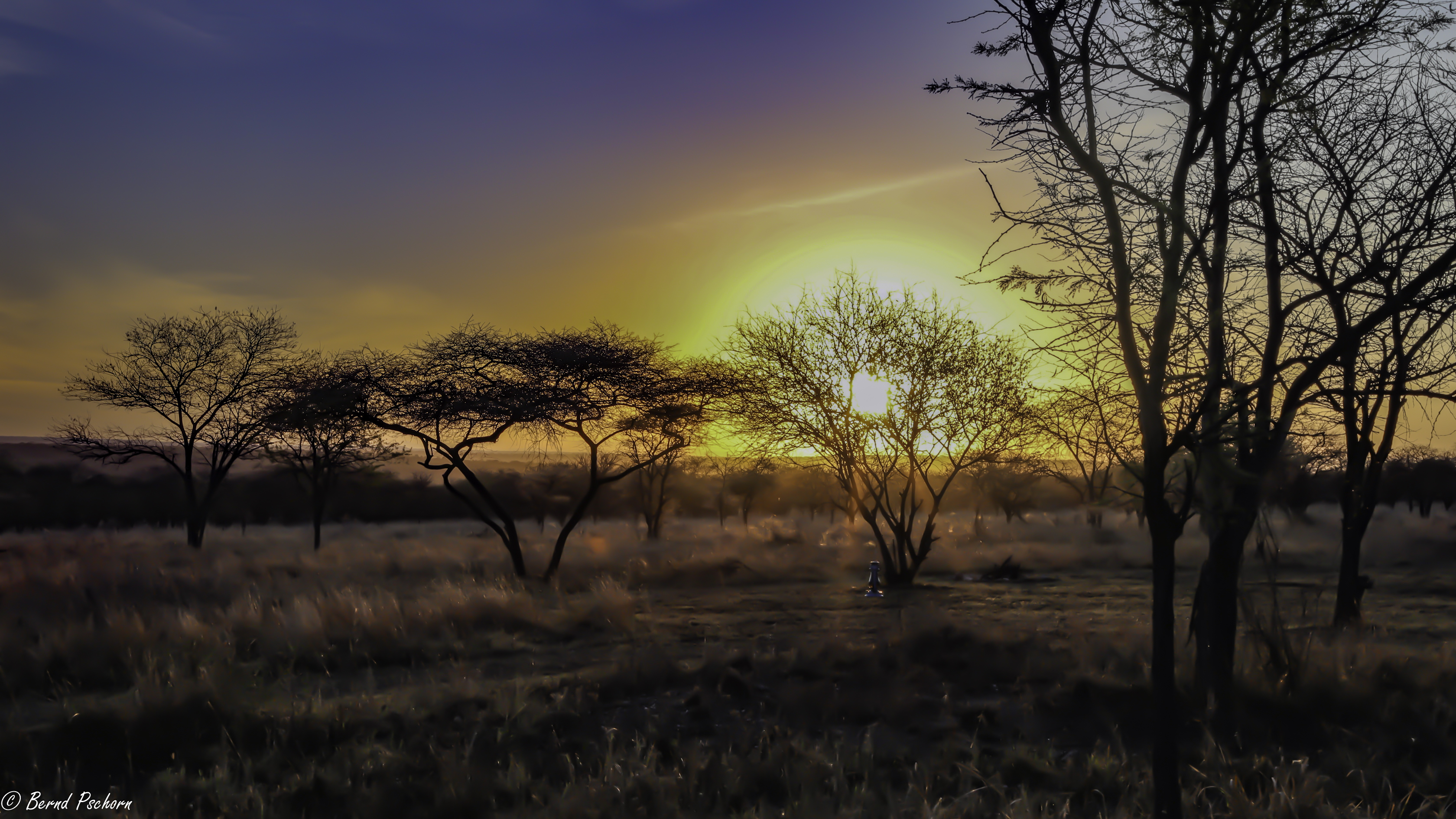 Serengeti
