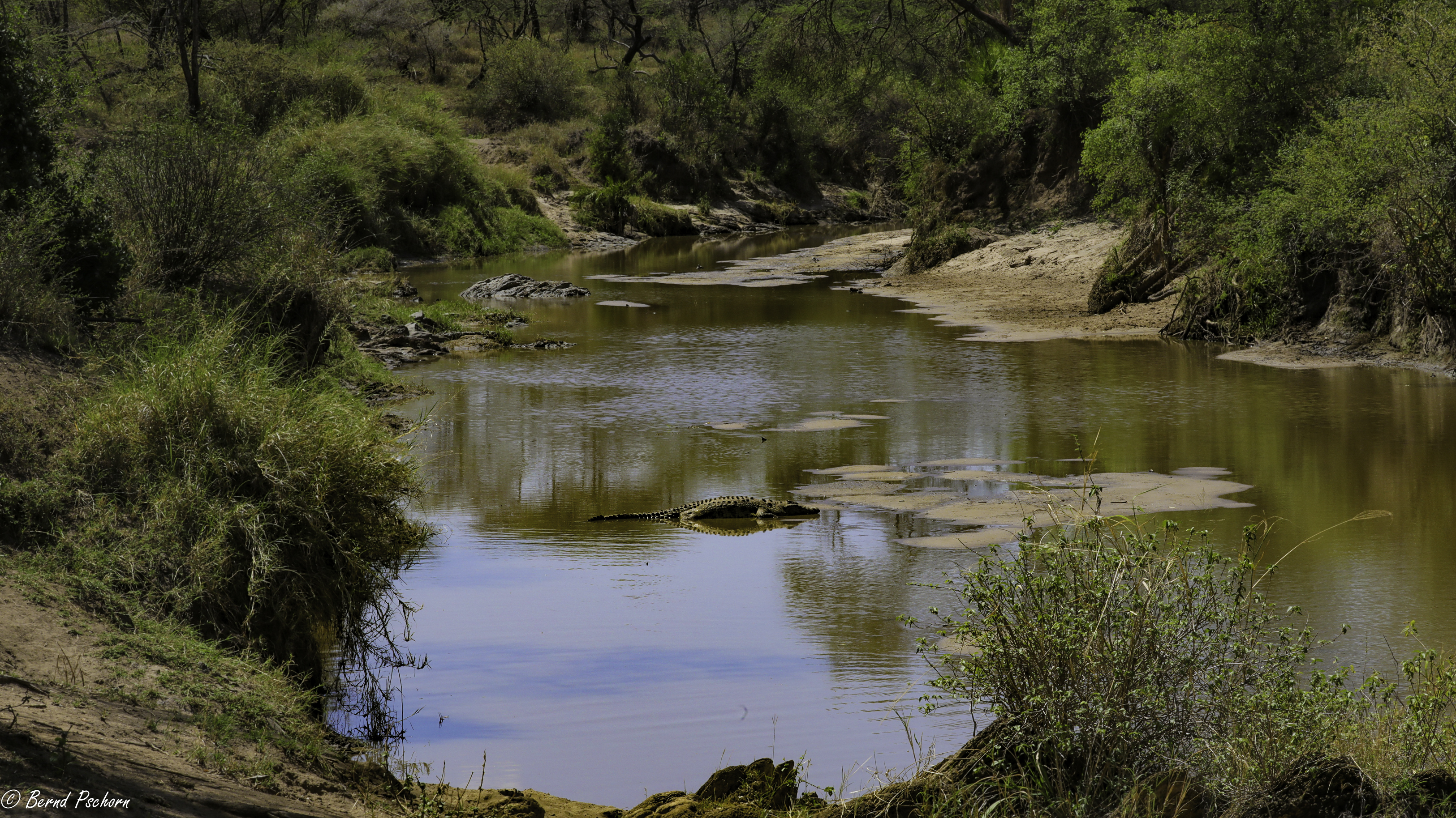 Serengeti