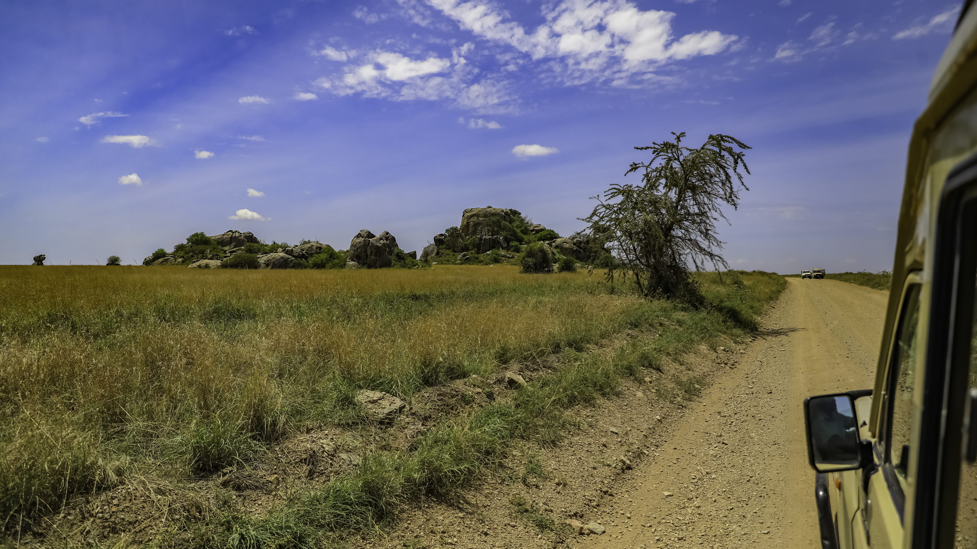 Serengeti