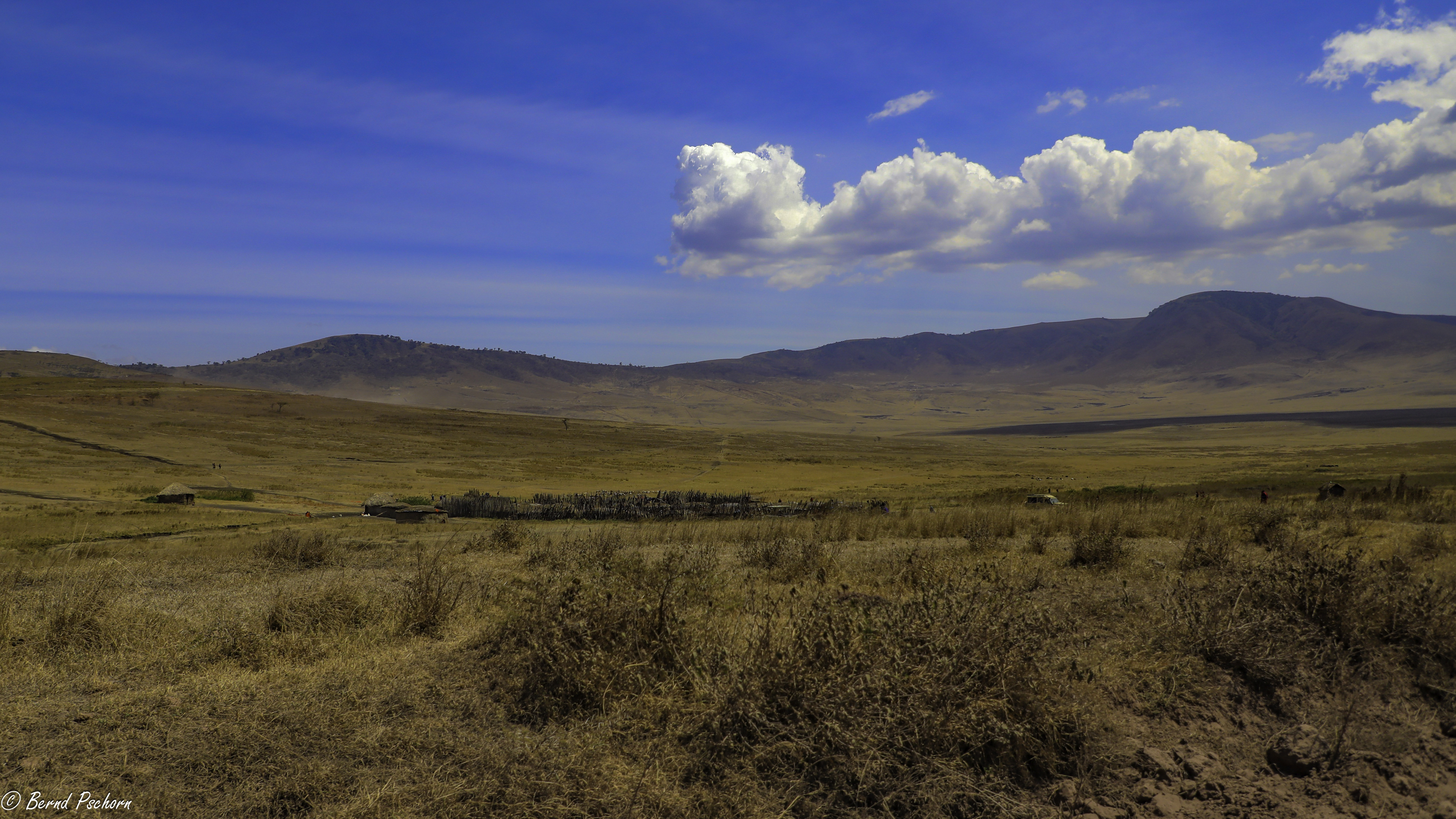 Serengeti