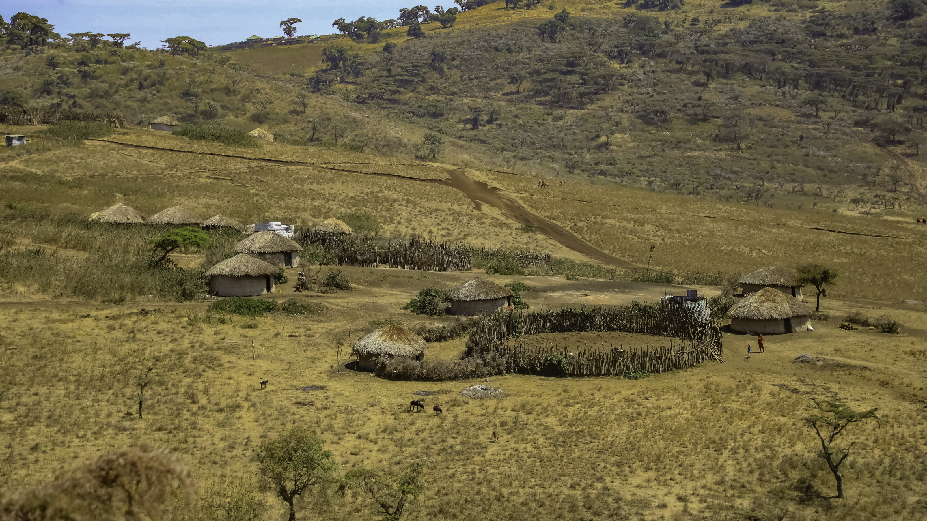 Serengeti