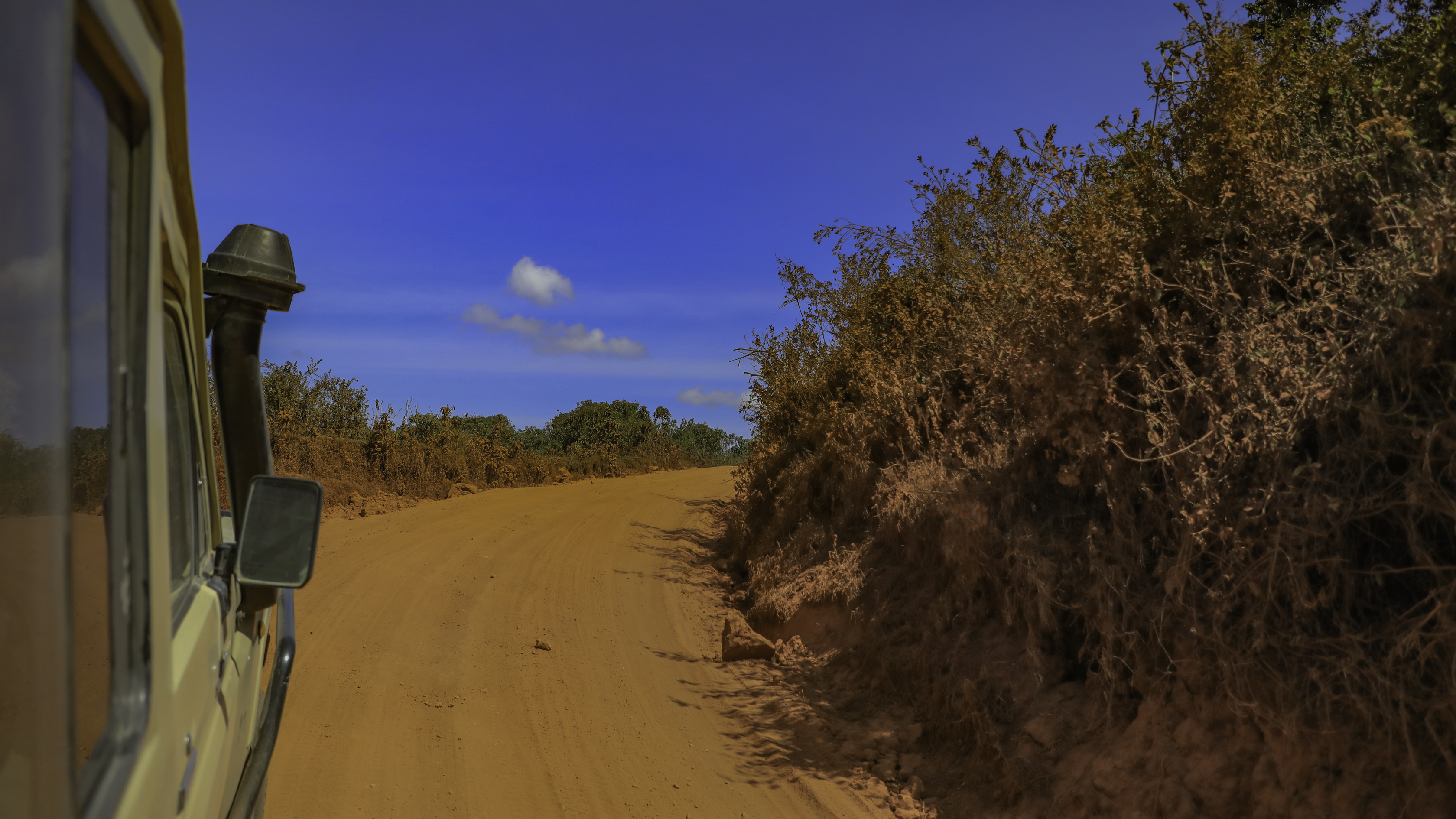 Serengeti