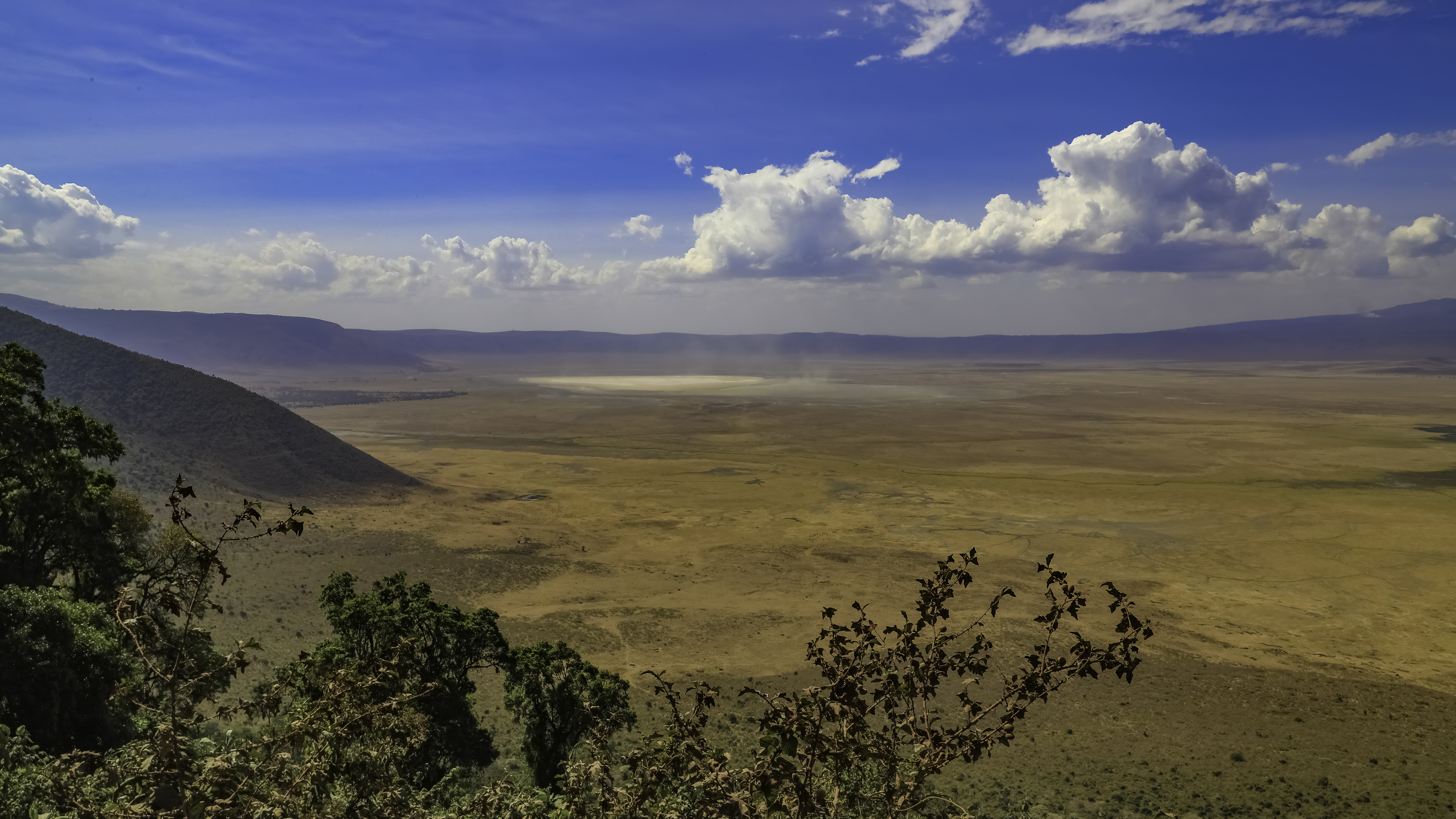 Serengeti