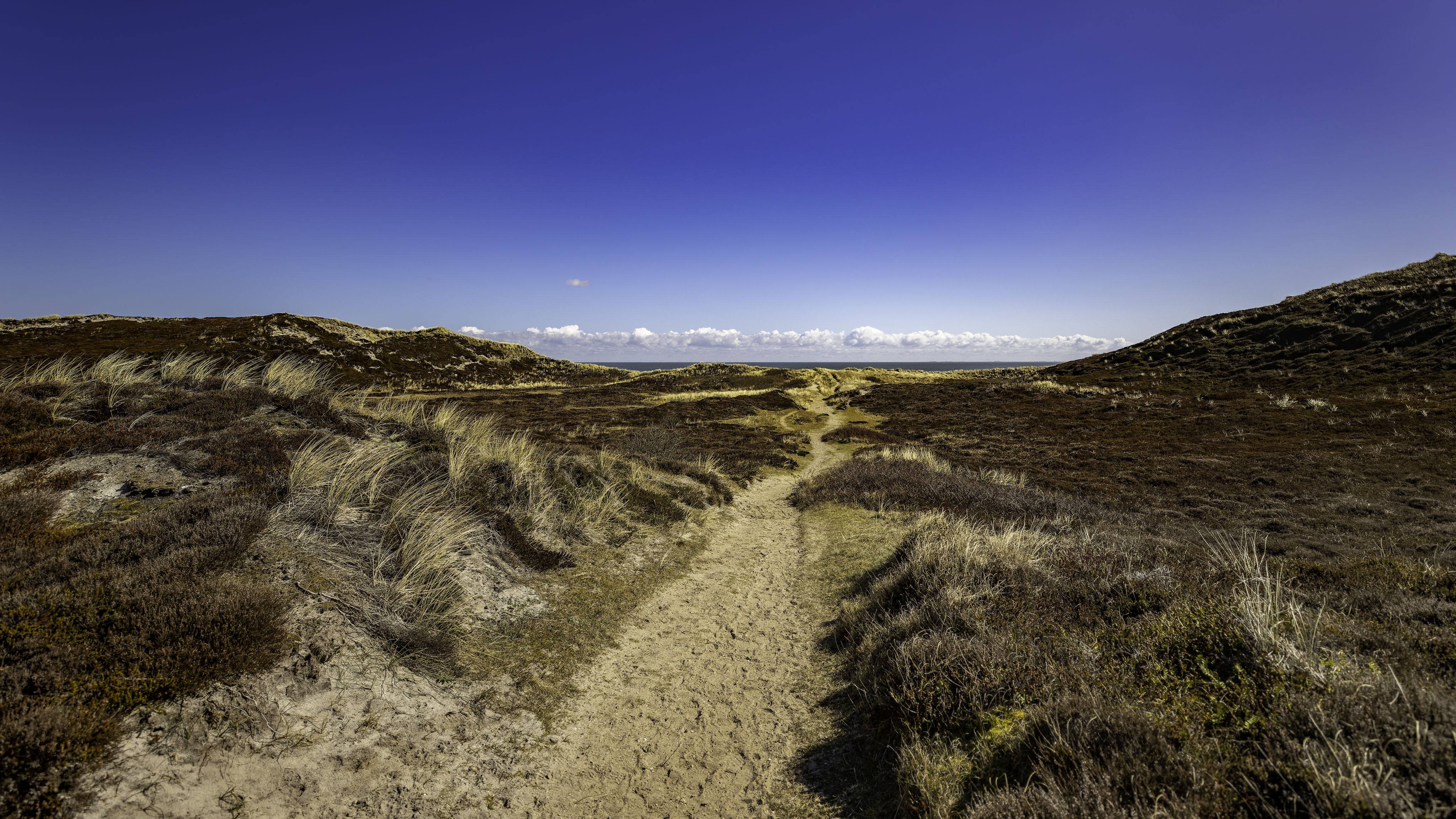 Sylt