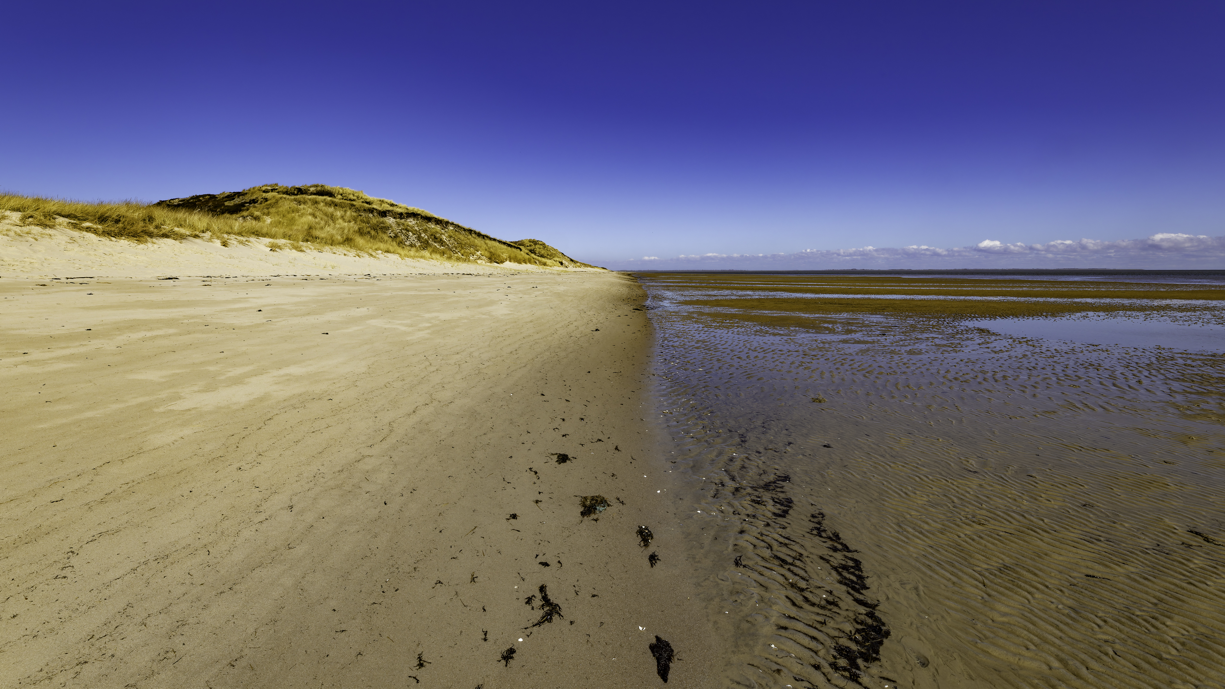 Sylt