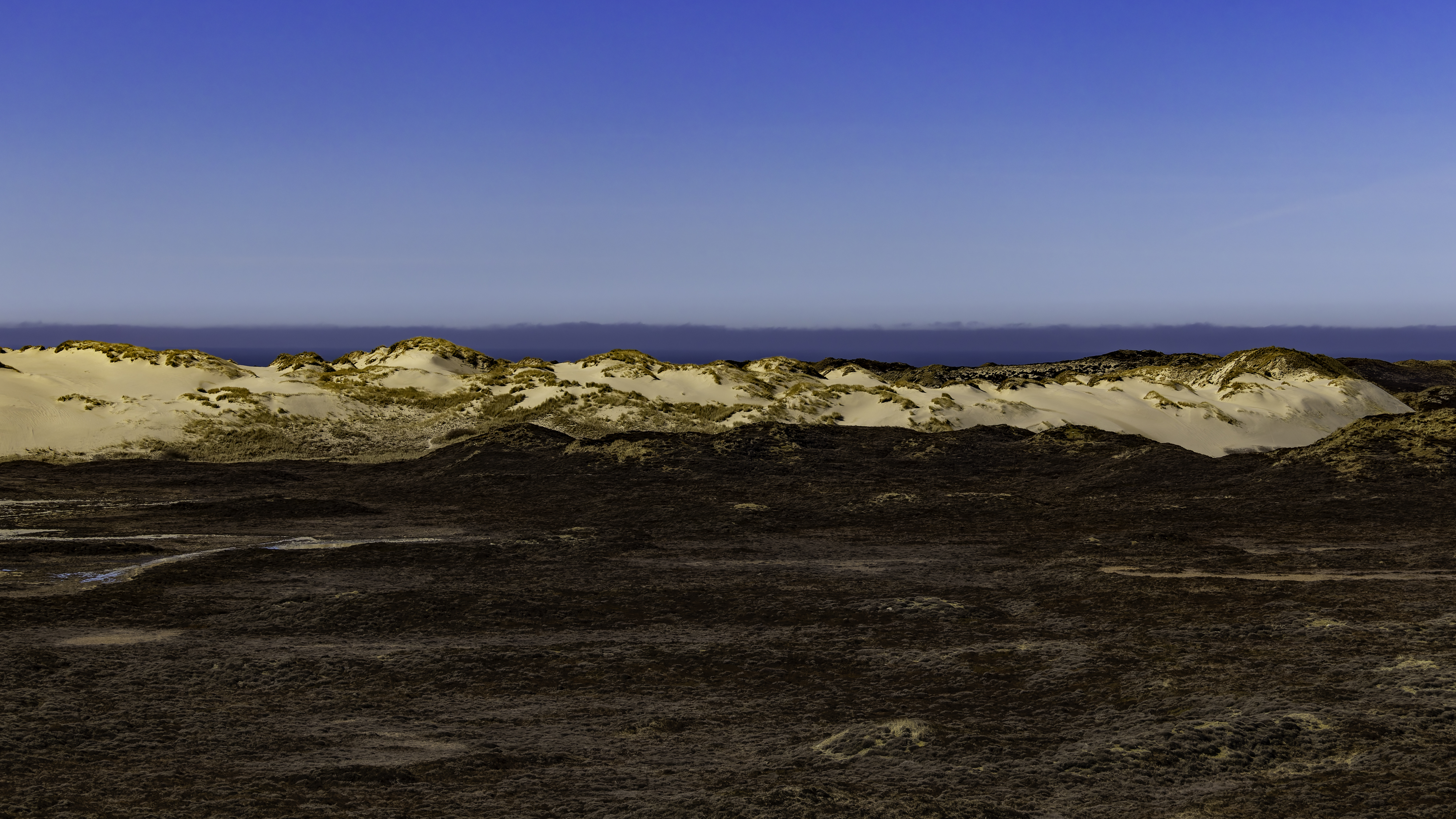 Sylt