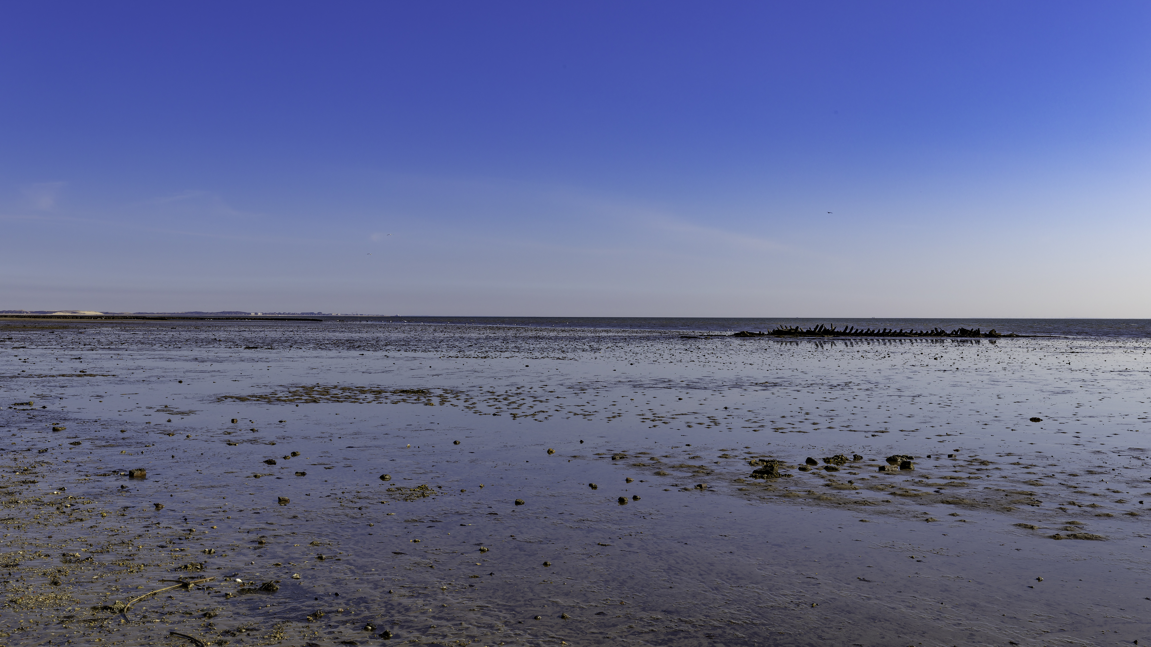 Sylt