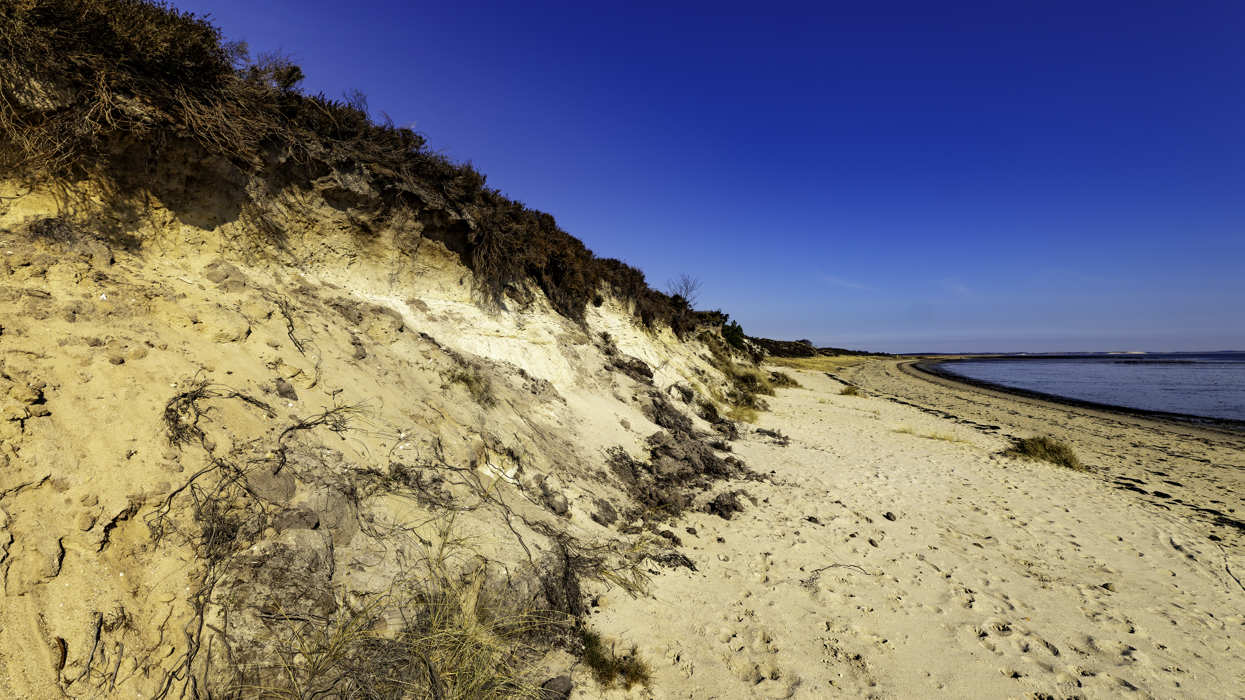 Sylt