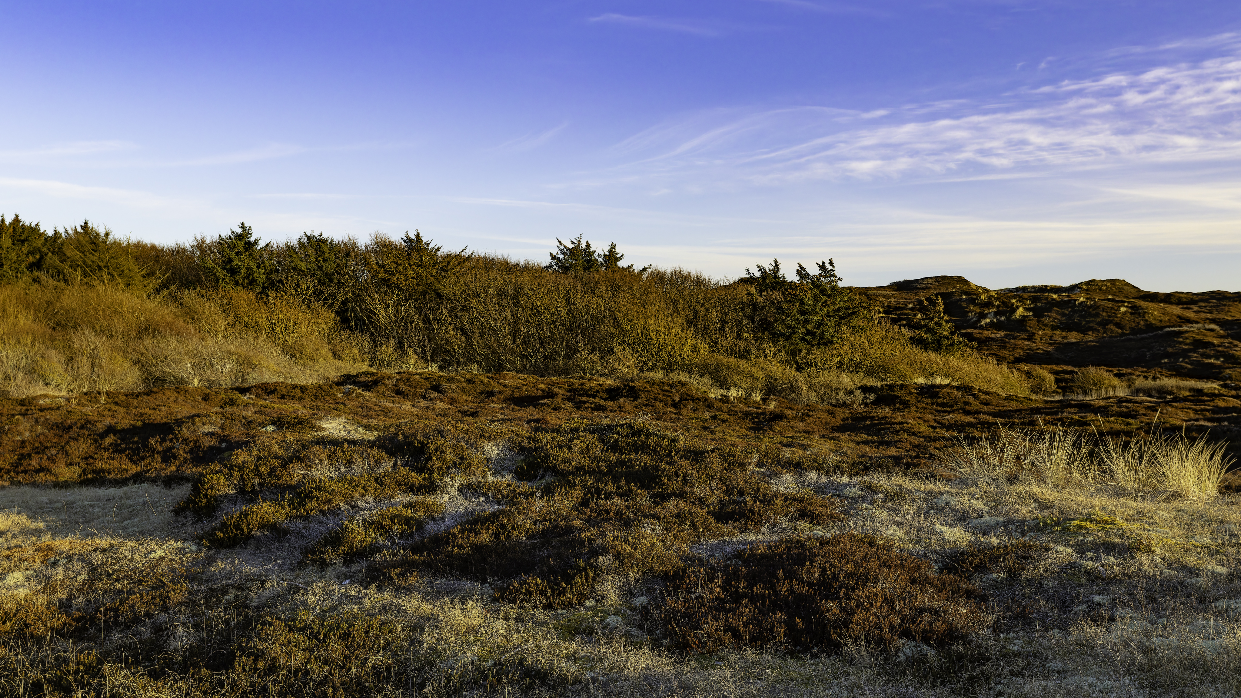 Sylt