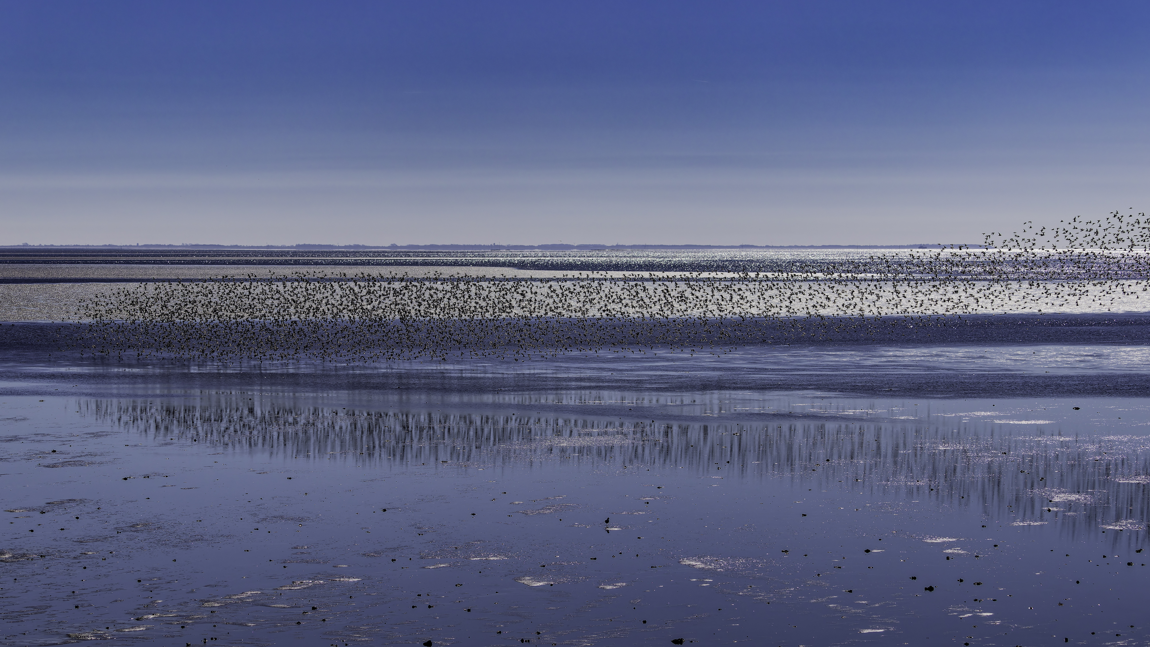 Sylt