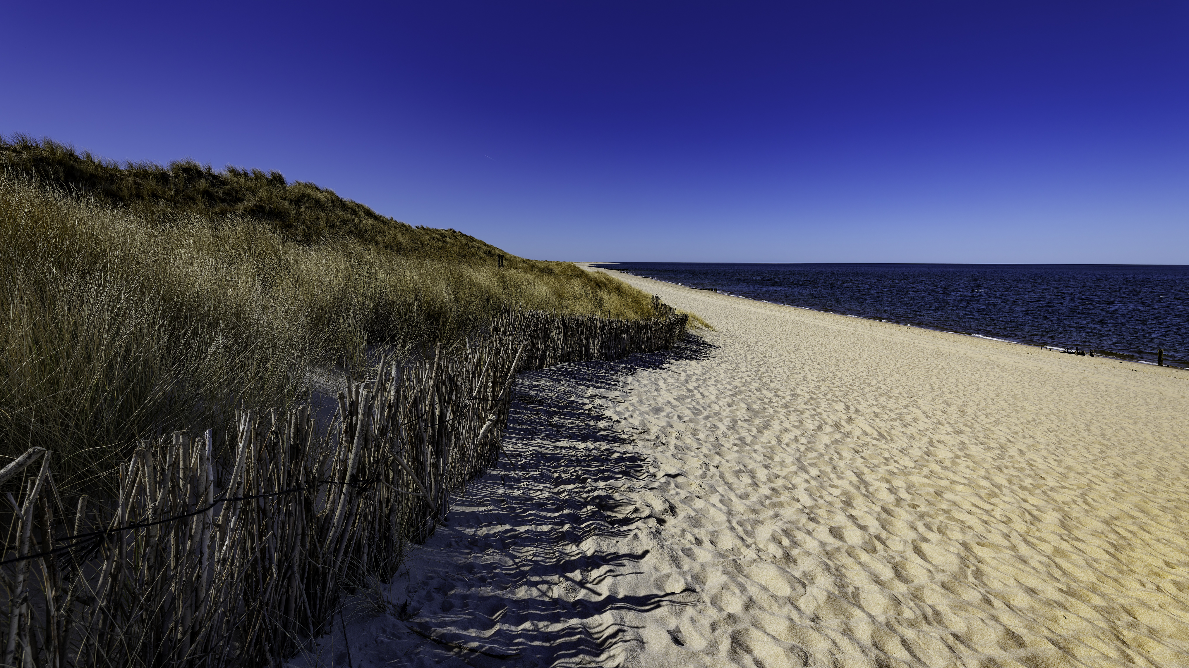 Sylt