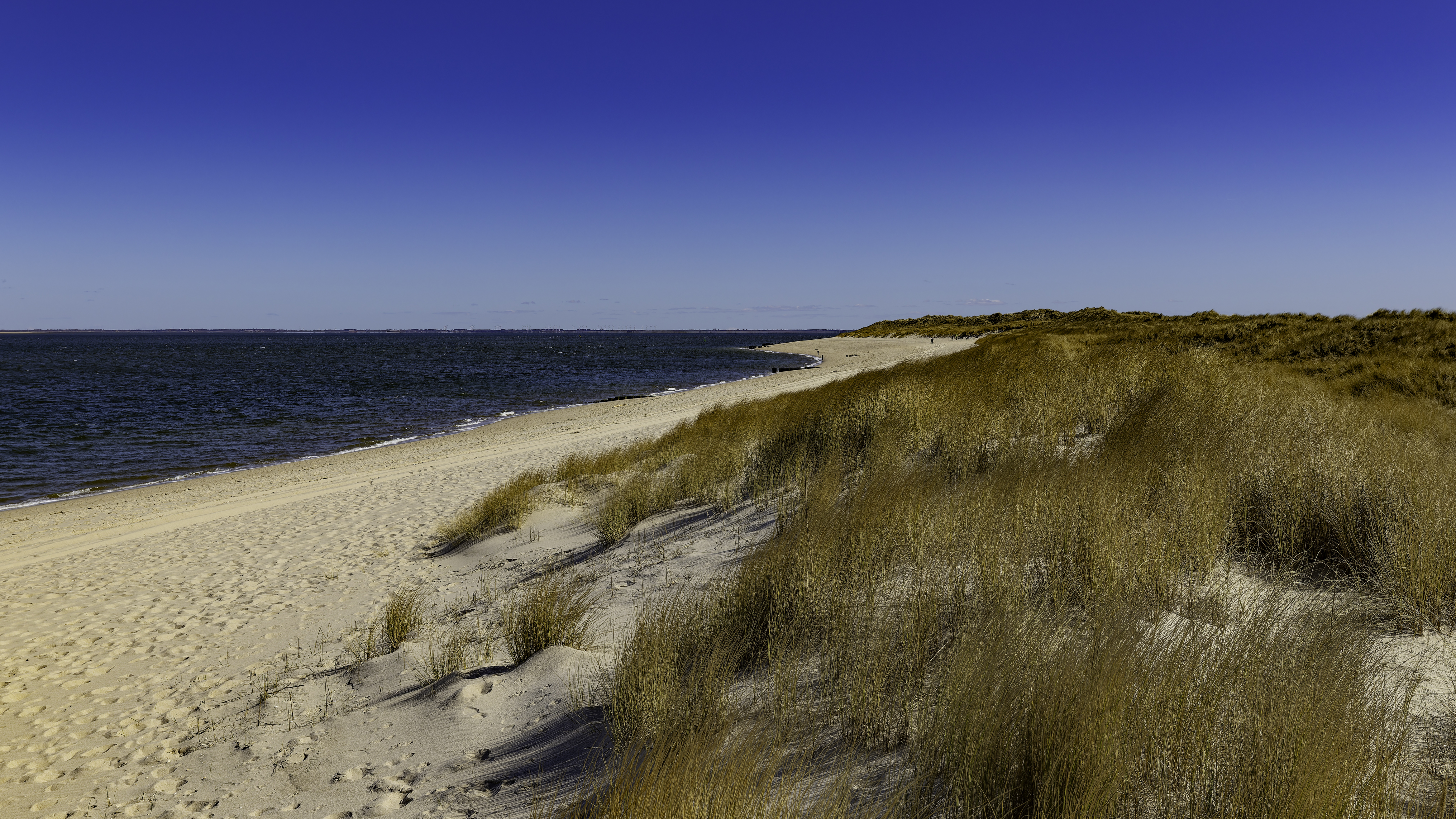 Sylt