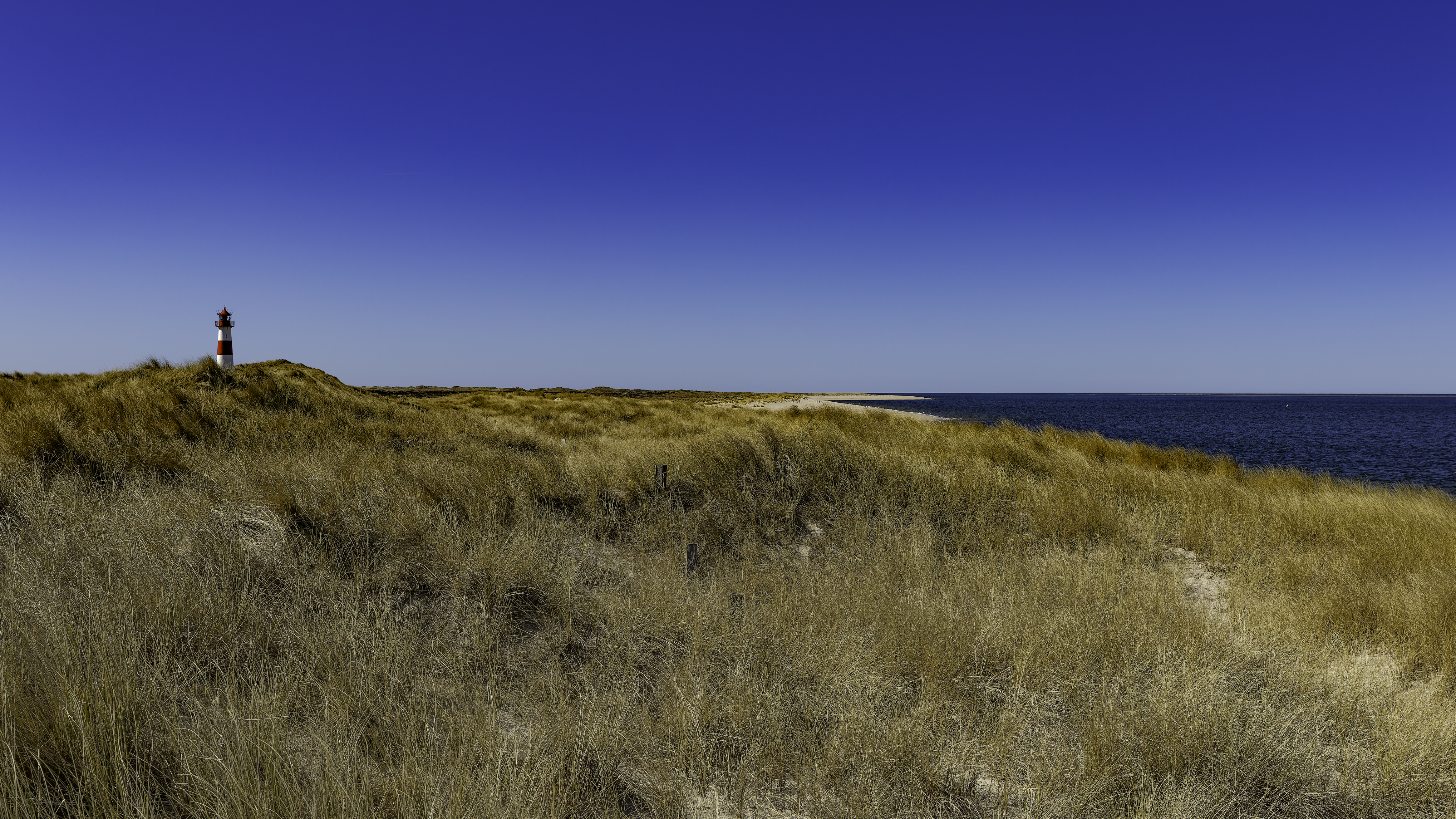 Sylt