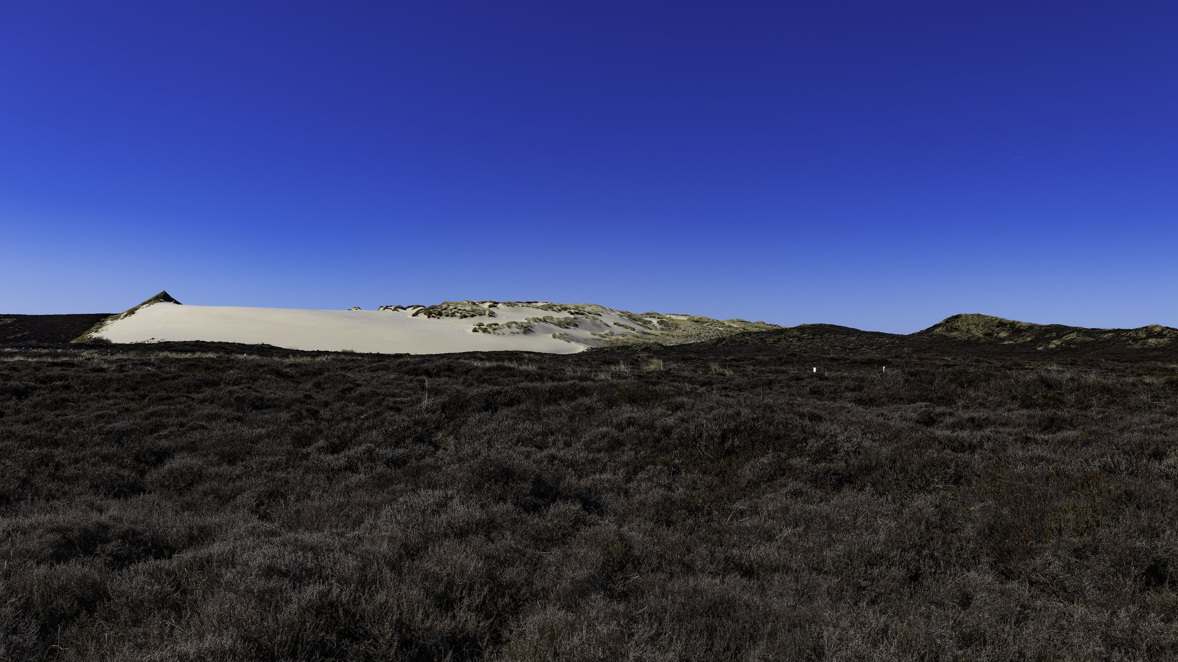 Sylt