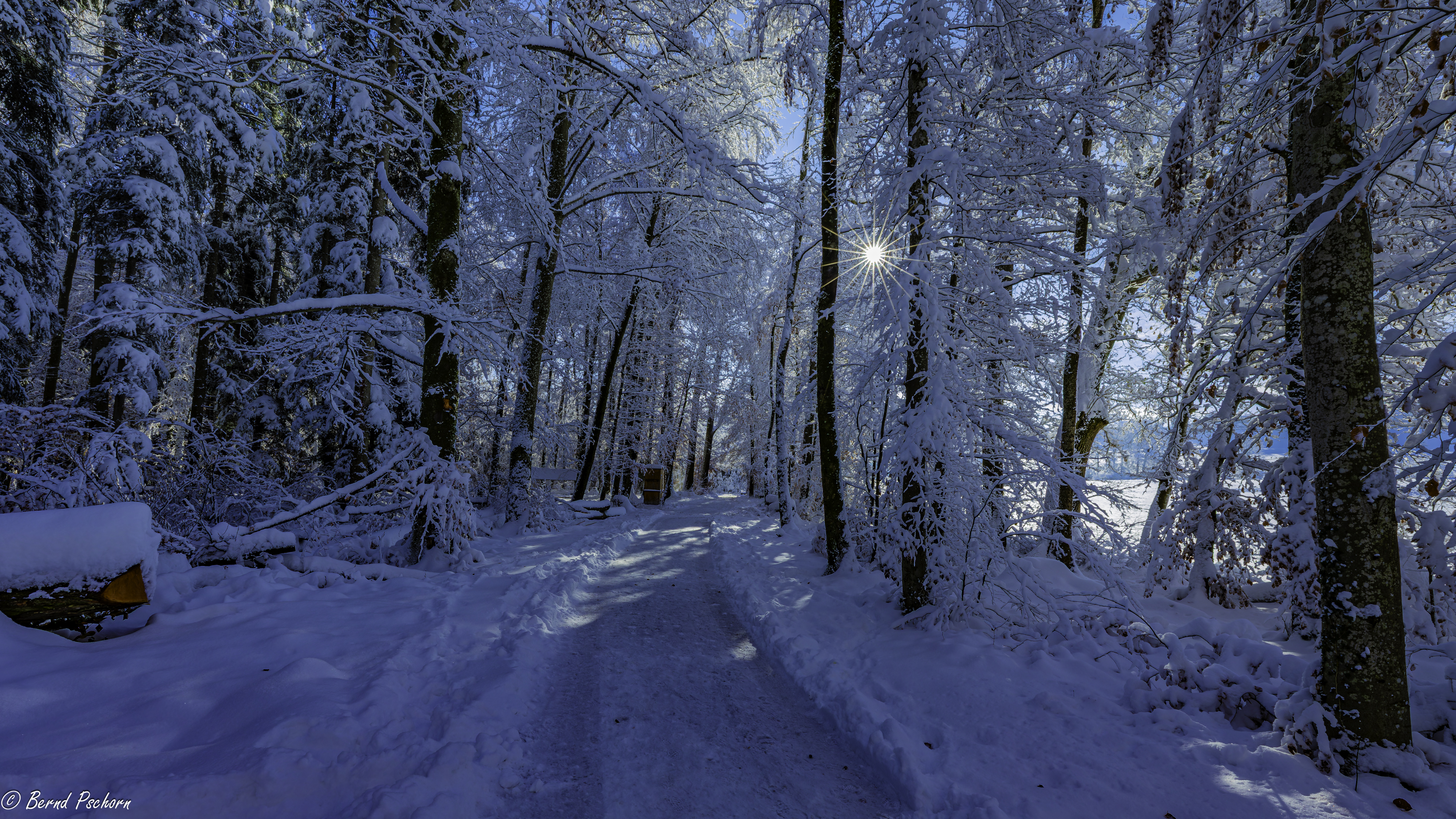 Winterlandschaft