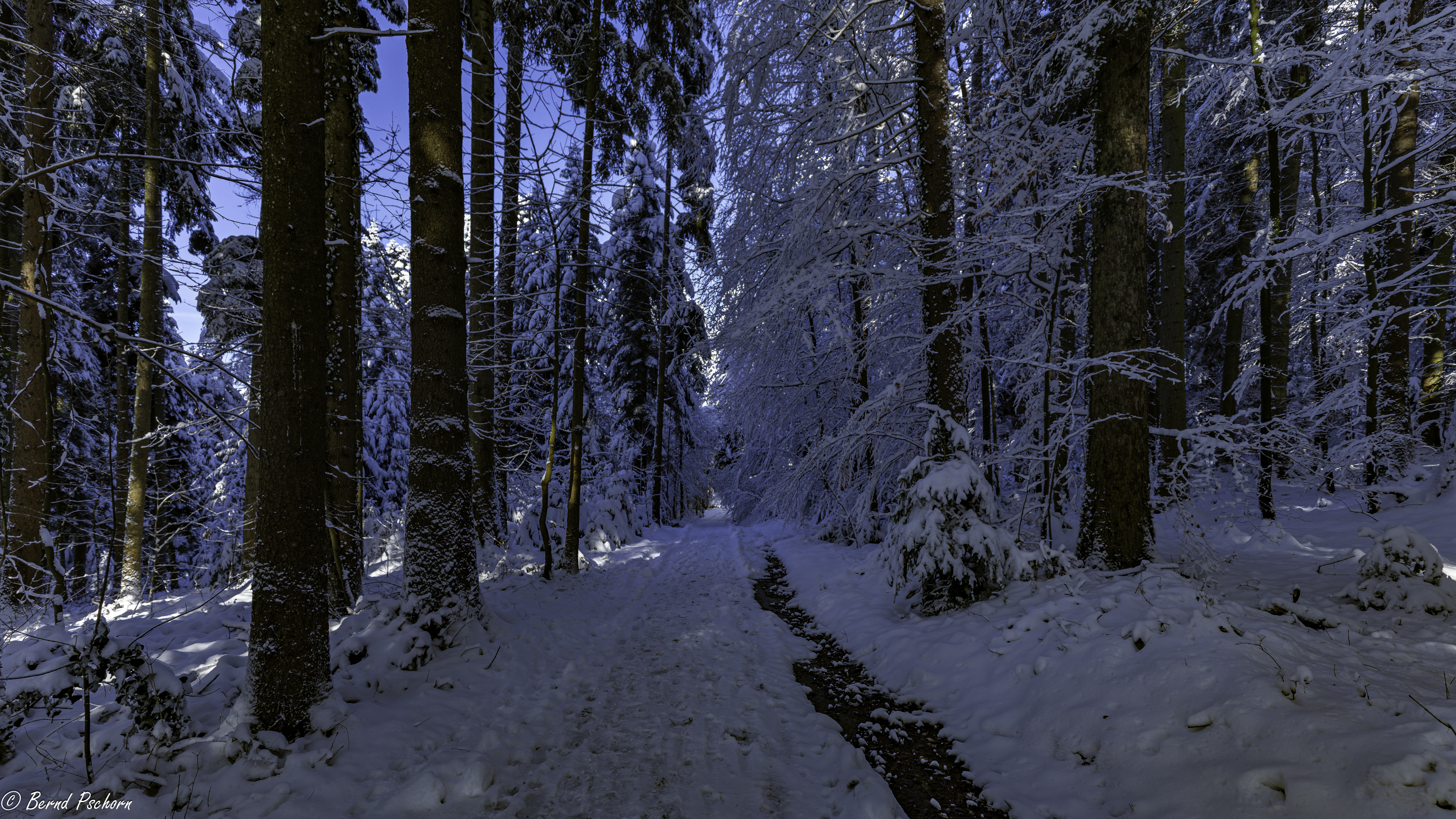 Winterlandschaft