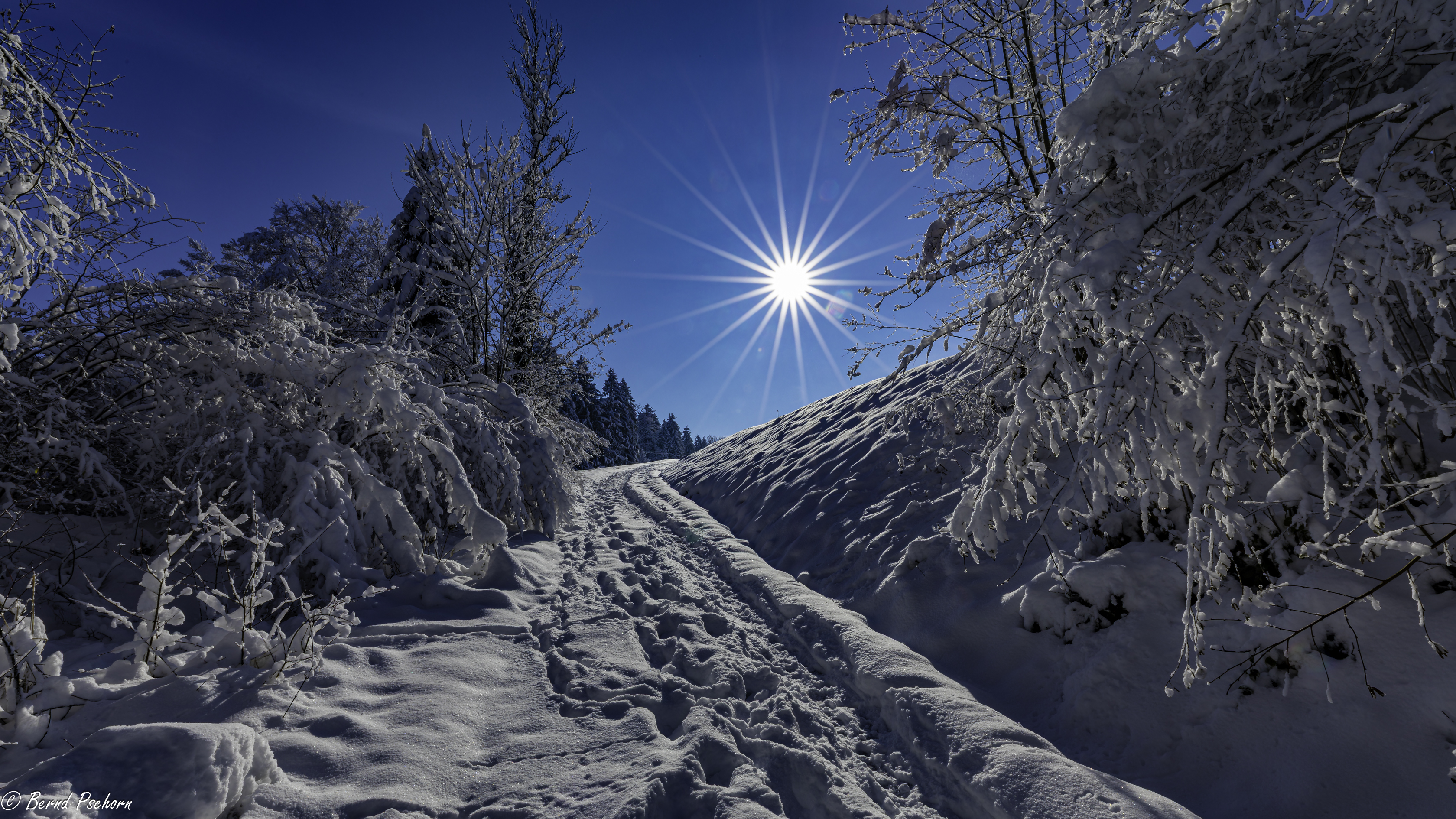 Winterlandschaft
