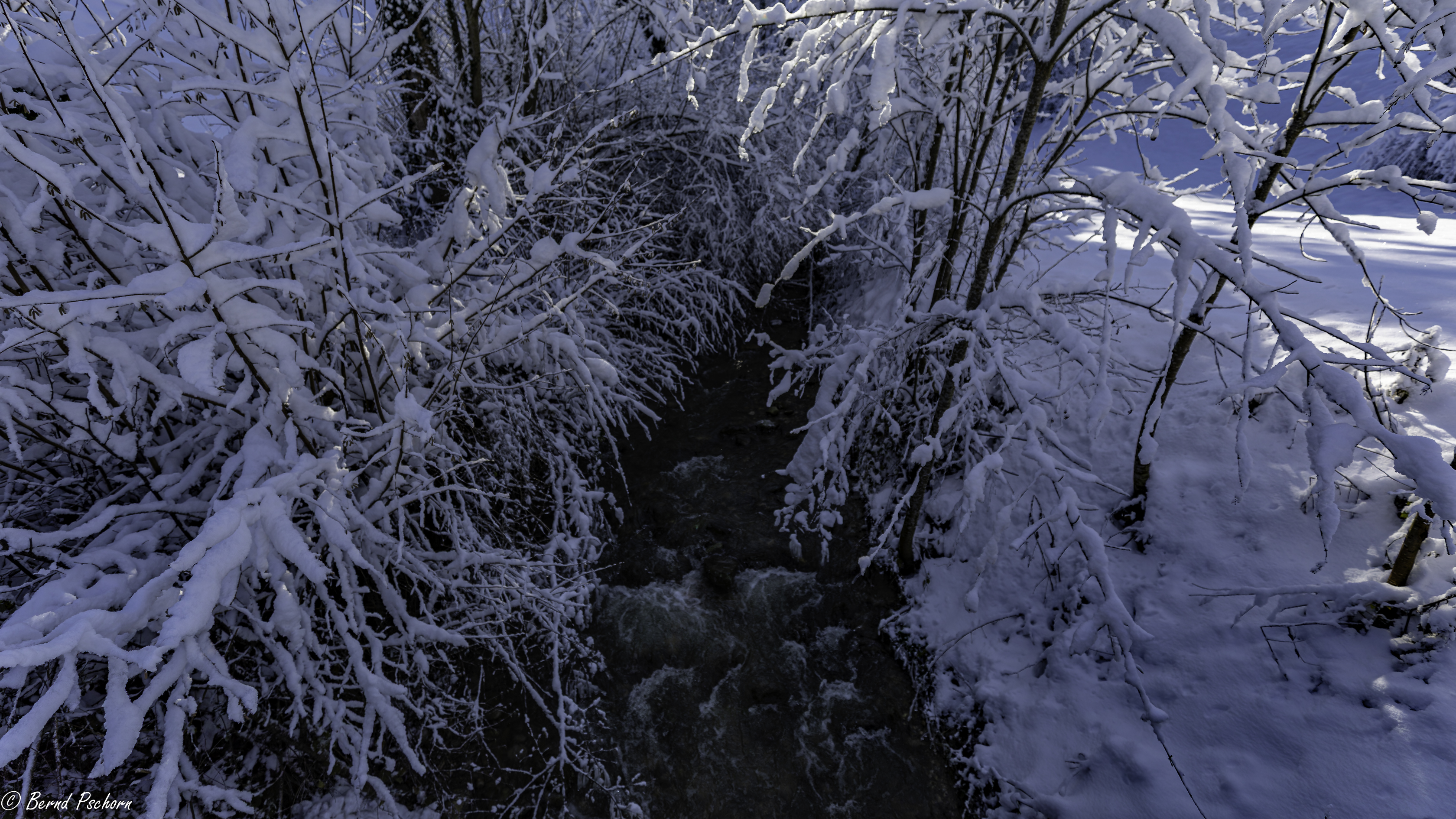 Winterlandschaft