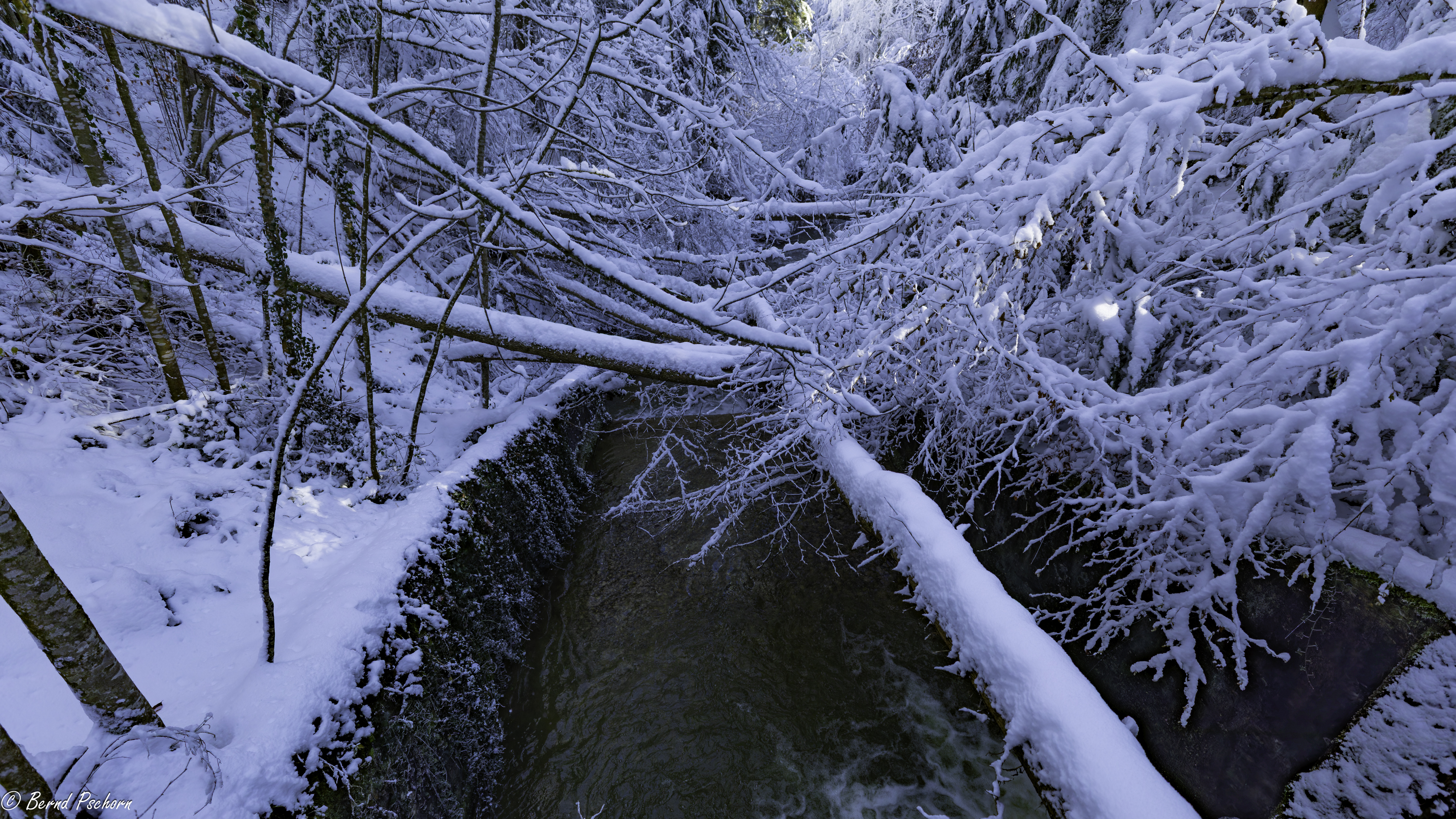 Winterlandschaft